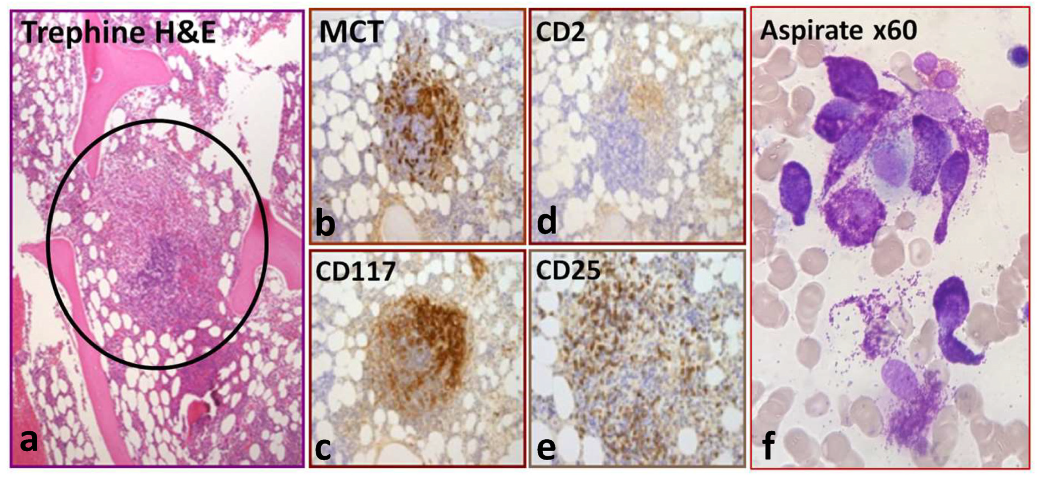 Diagnostics 14 00080 g001