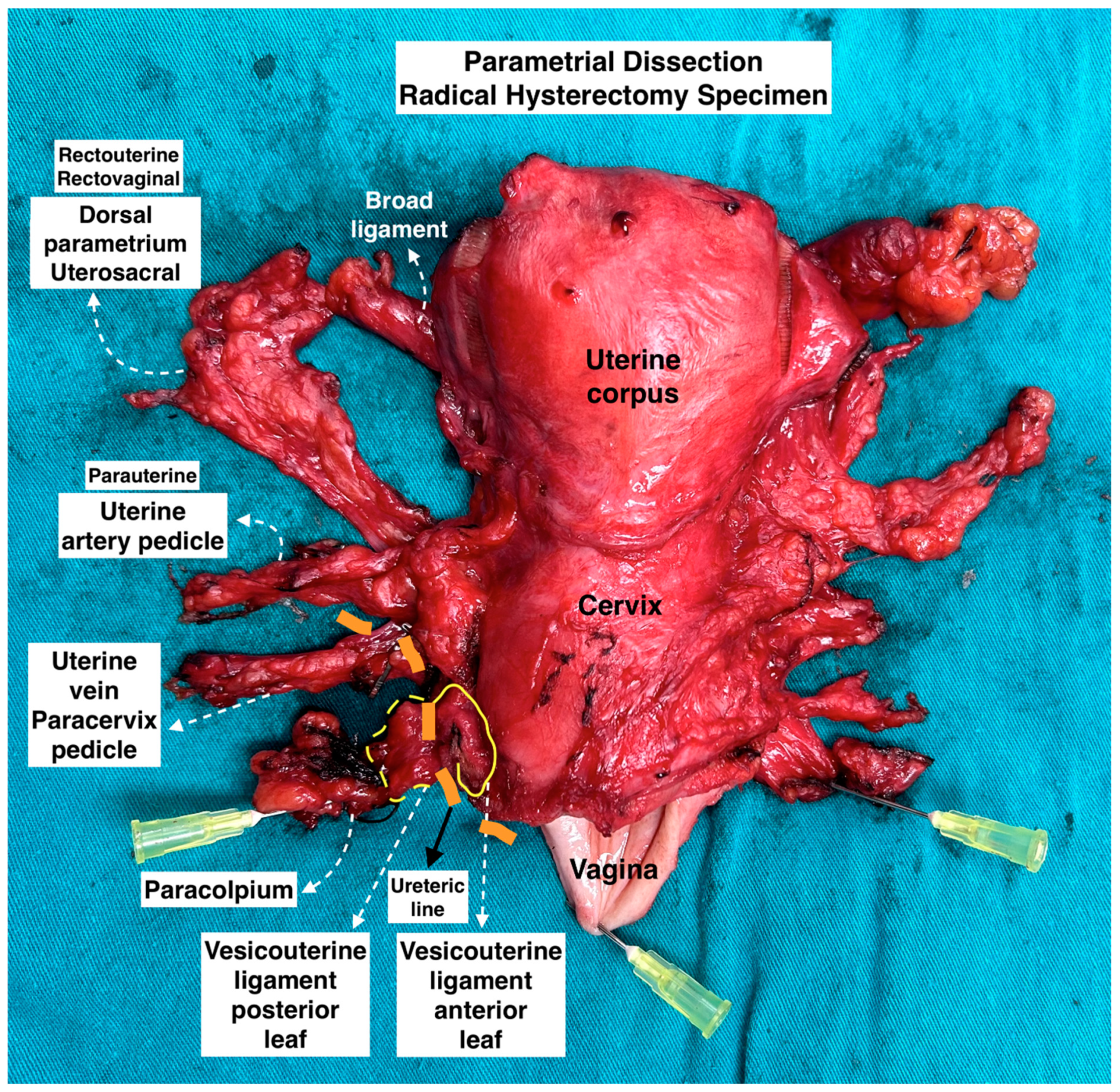 Diagnostics 14 00083 g008