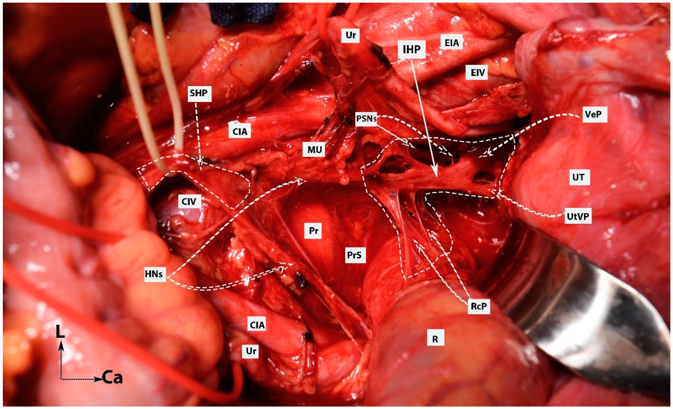 Diagnostics 14 00083 g009