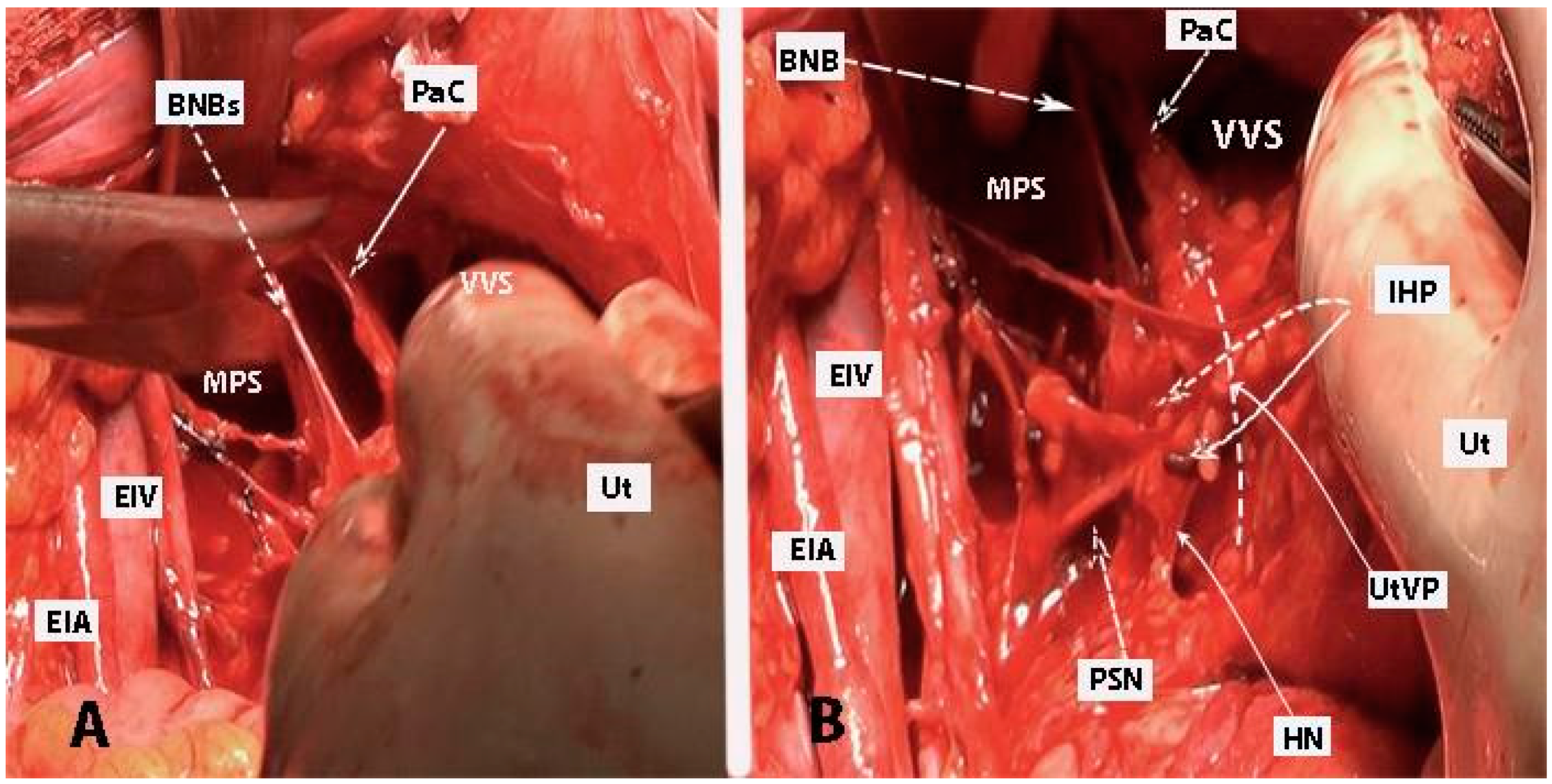 Diagnostics 14 00083 g013