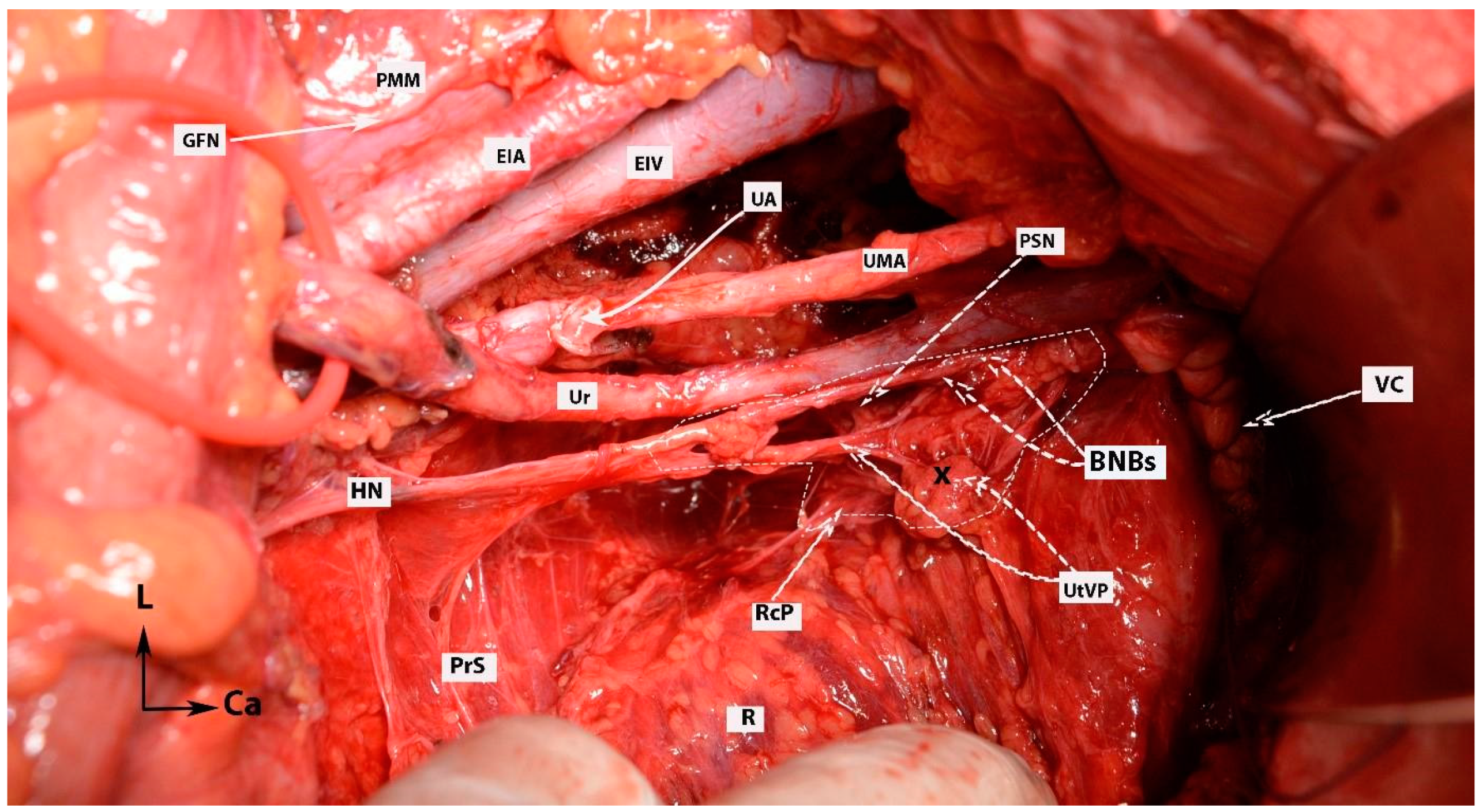 Diagnostics 14 00083 g016