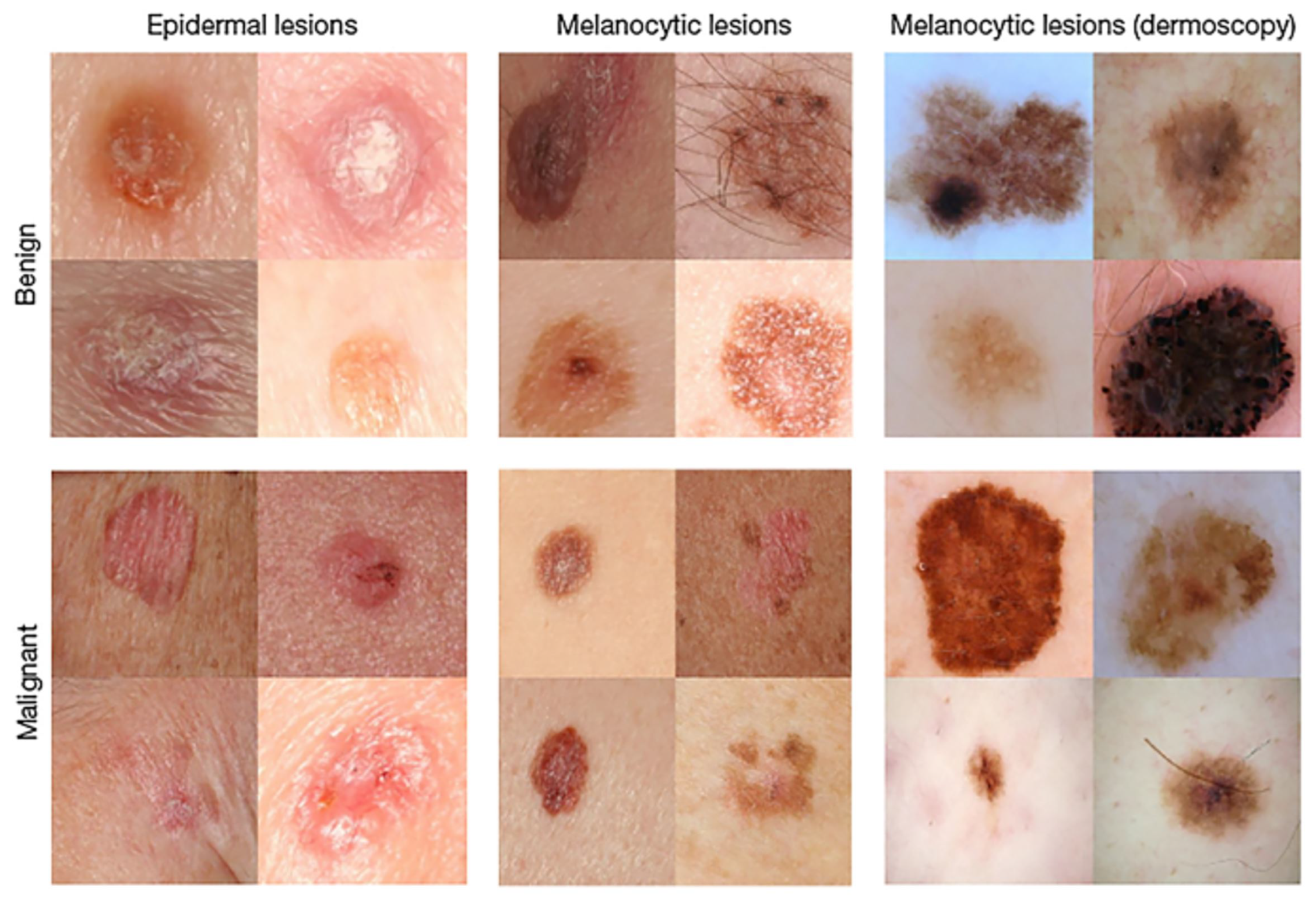 Diagnostics 14 00089 g001