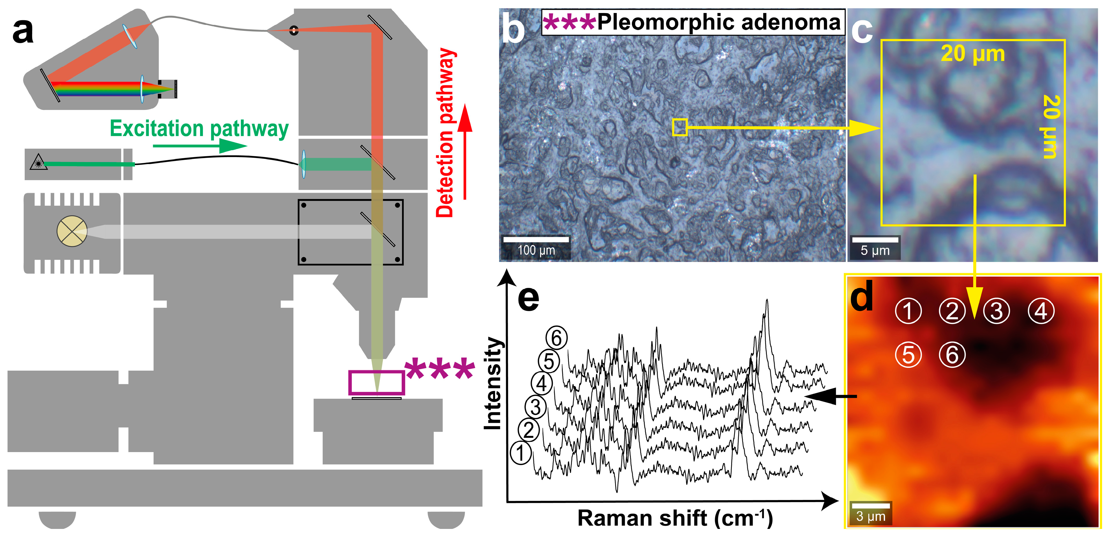 Diagnostics 14 00092 g001