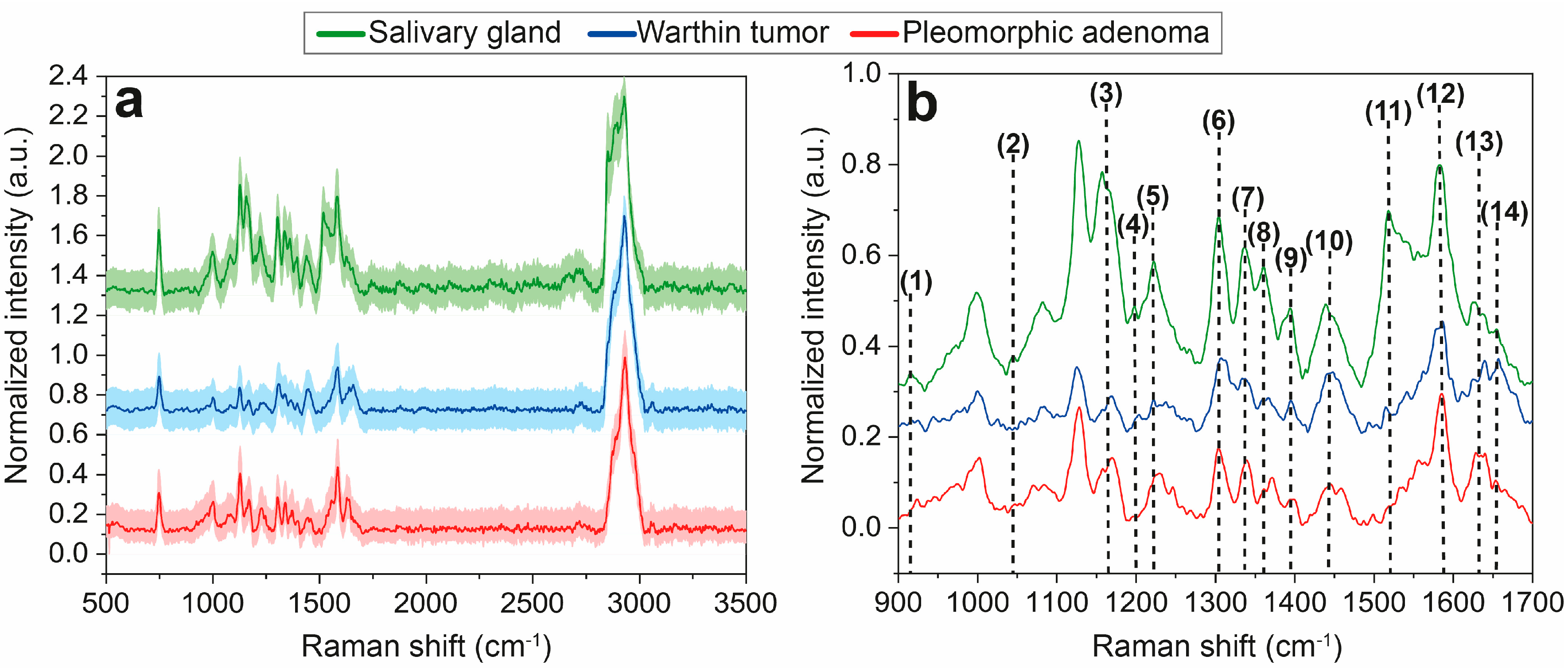 Diagnostics 14 00092 g002