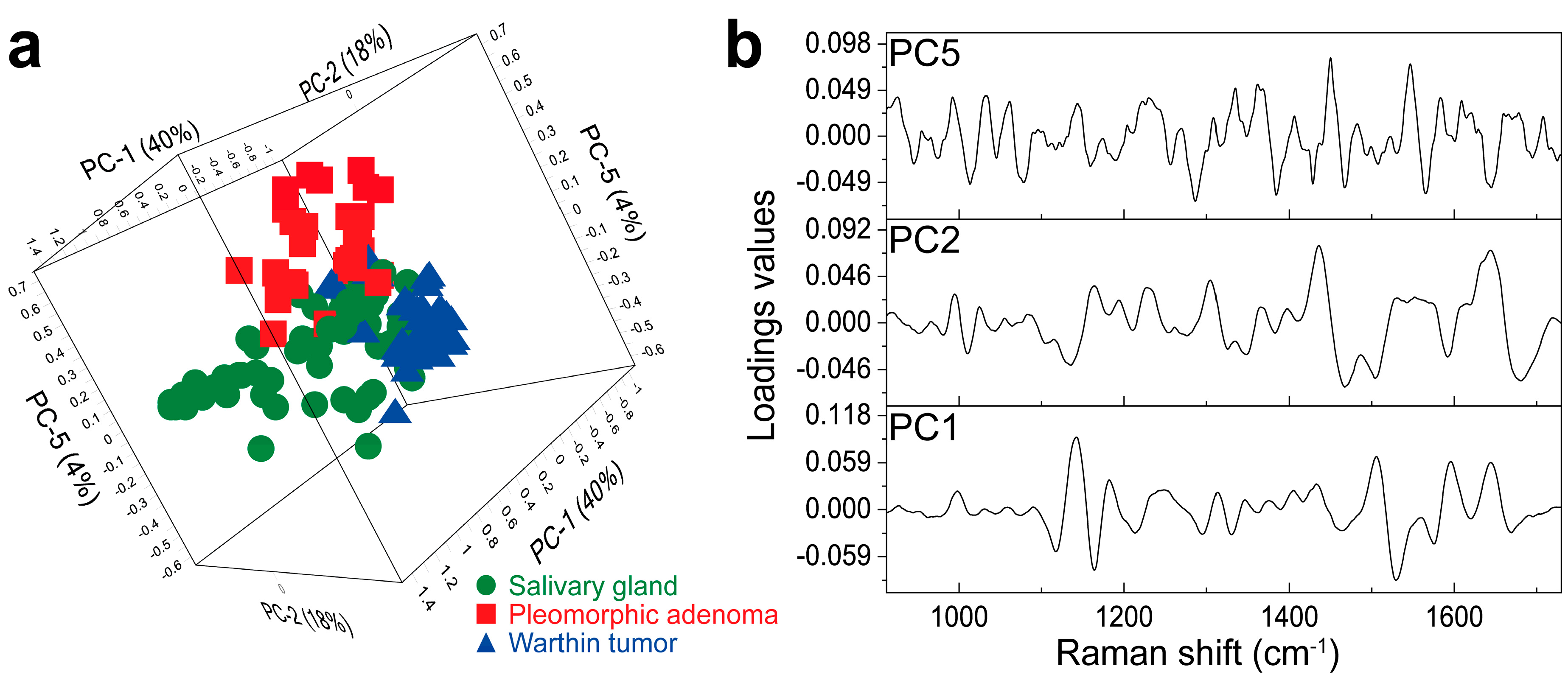 Diagnostics 14 00092 g003