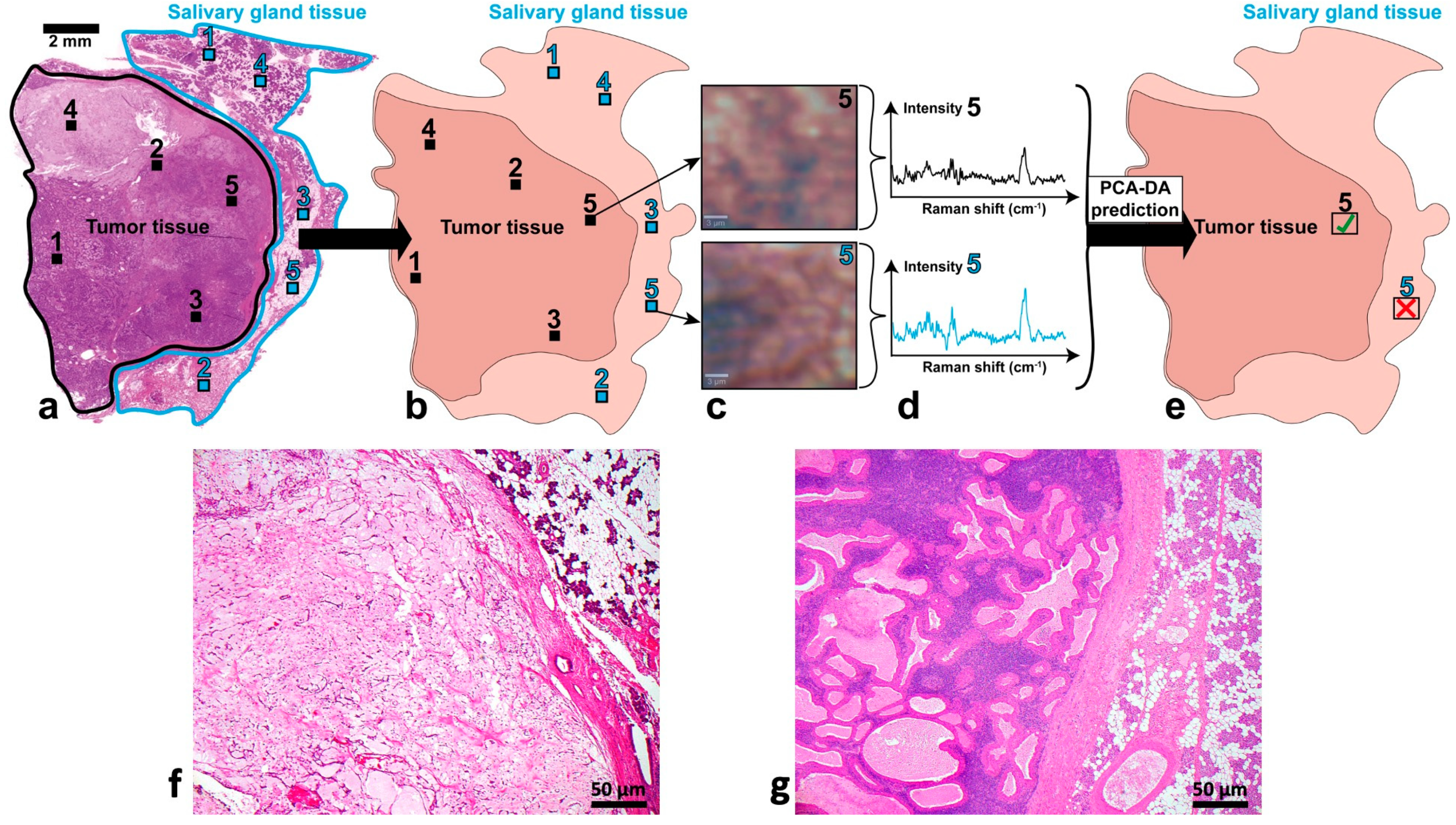 Diagnostics 14 00092 g004