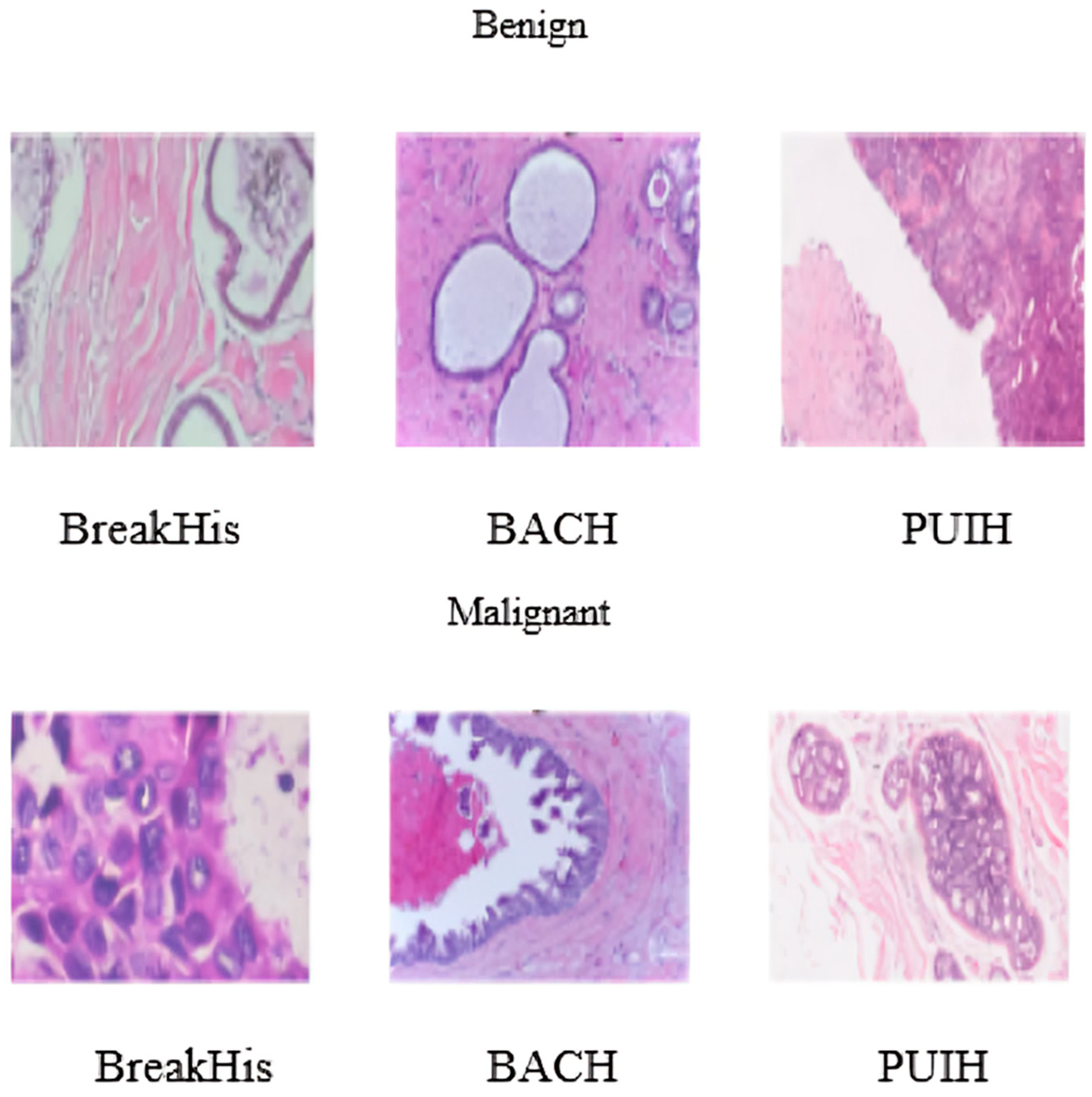 Diagnostics 14 00095 g005
