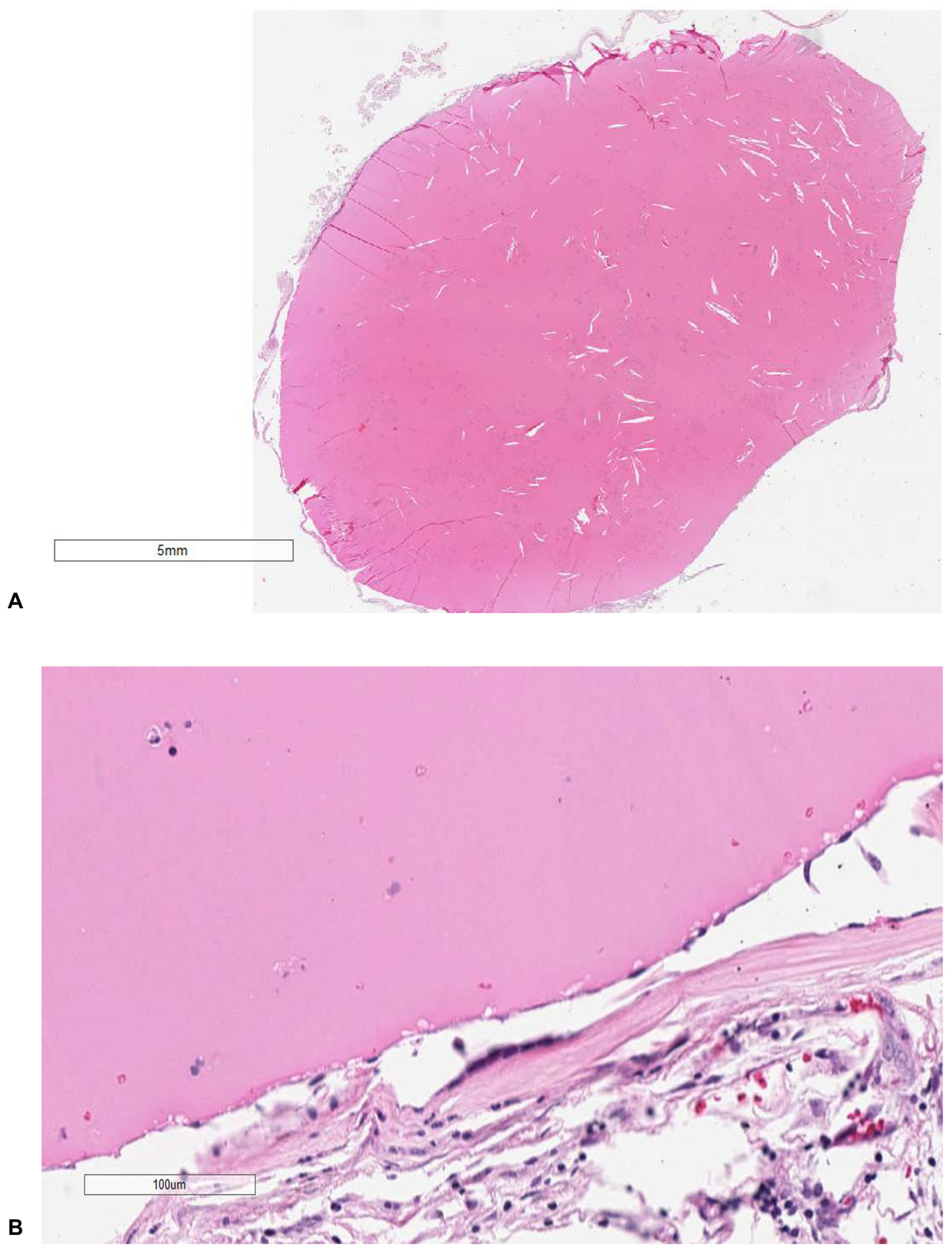 Diagnostics 14 00100 g002 Diagnostics 14 00100 g002