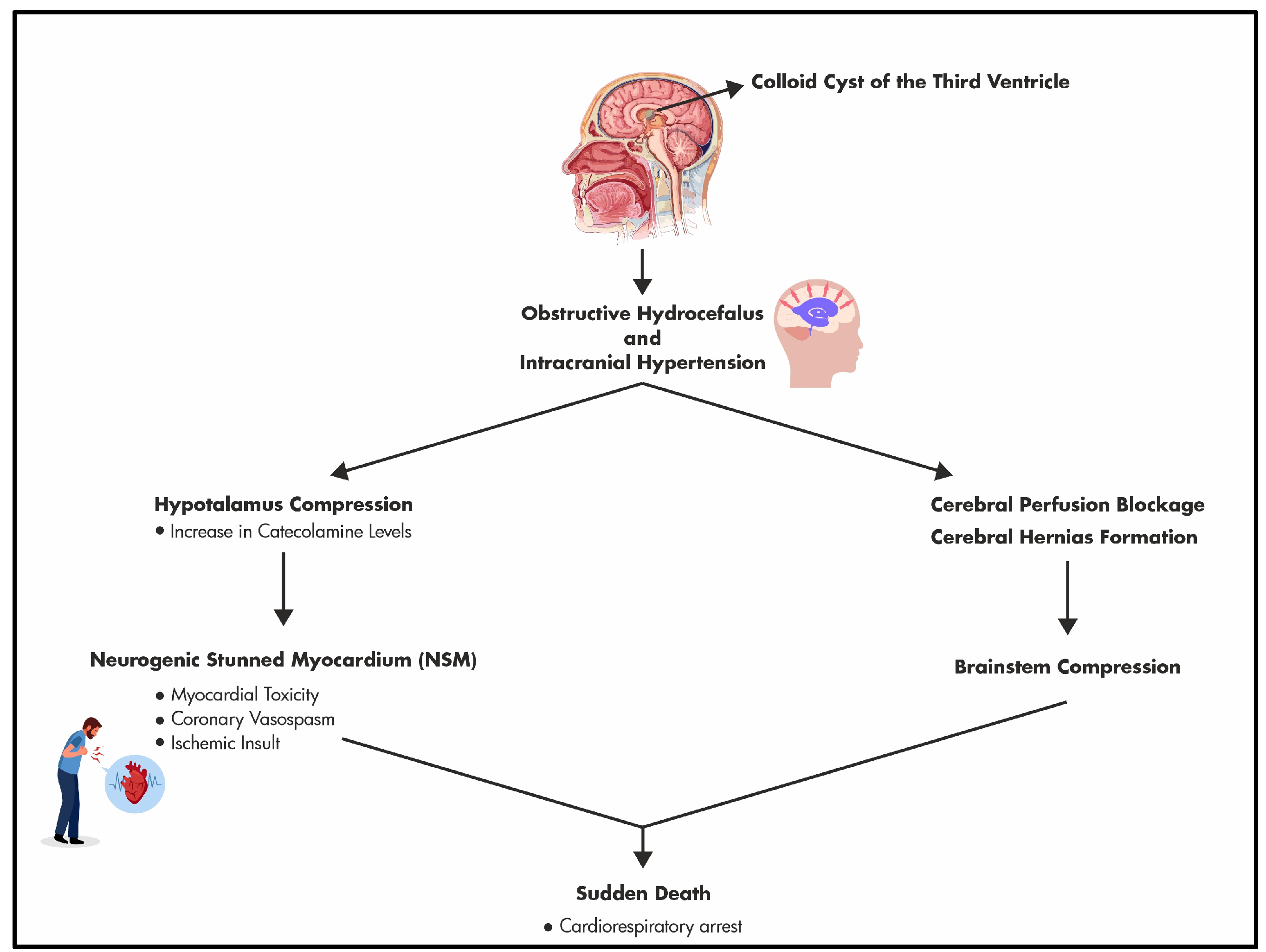Diagnostics 14 00100 g005 Diagnostics 14 00100 g005