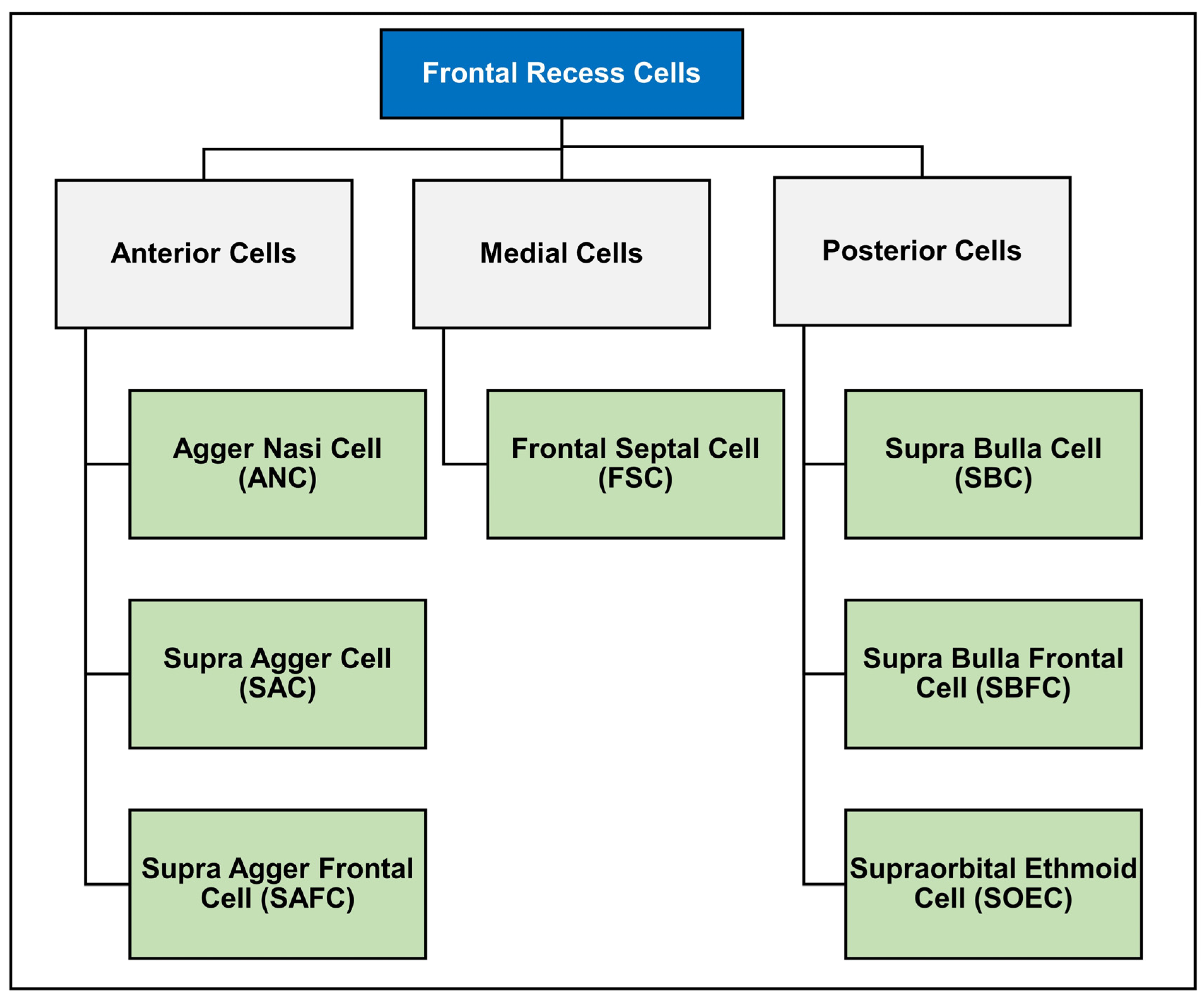 Diagnostics 14 00103 g002