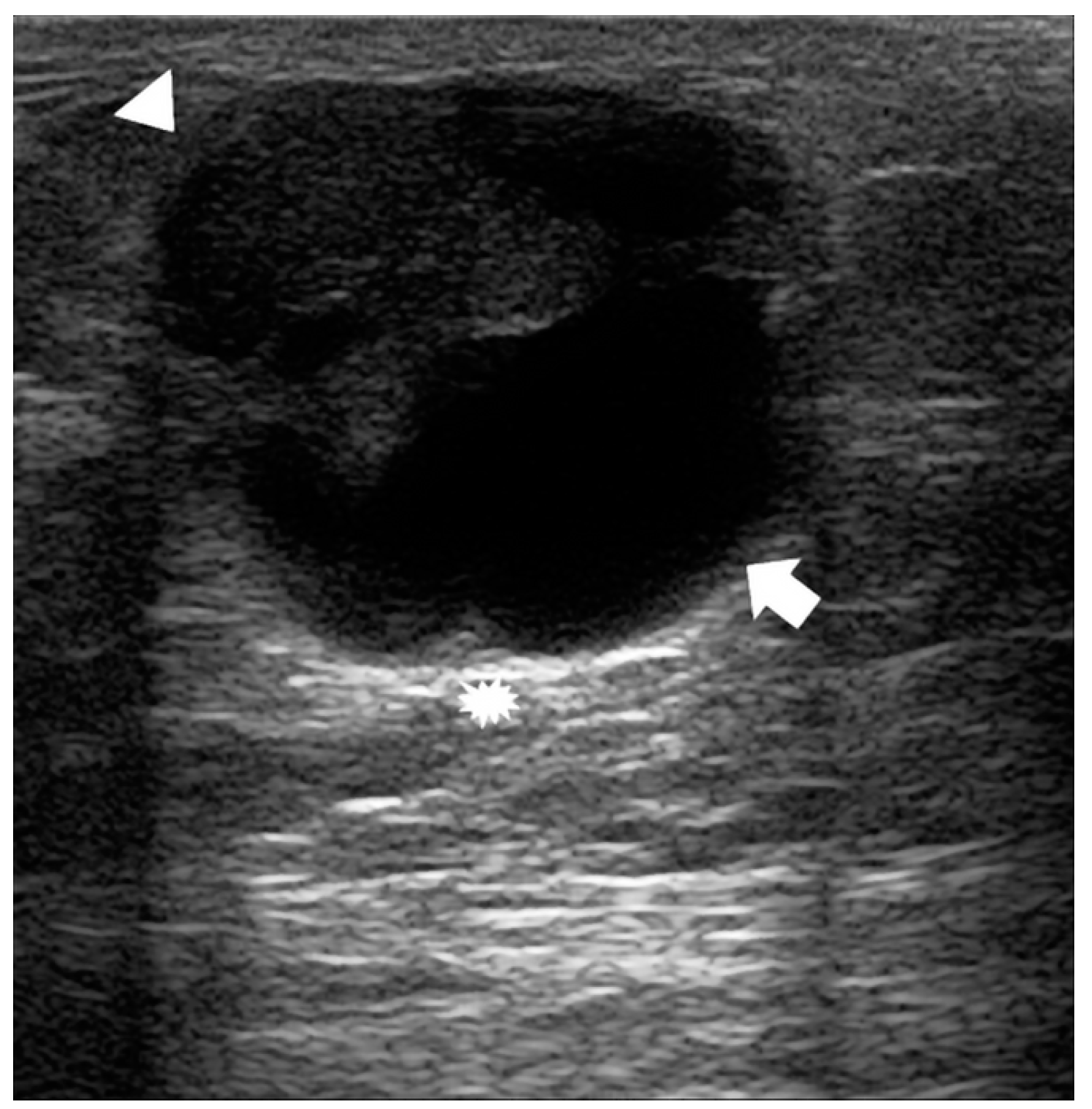 Diagnostics 14 00104 g007