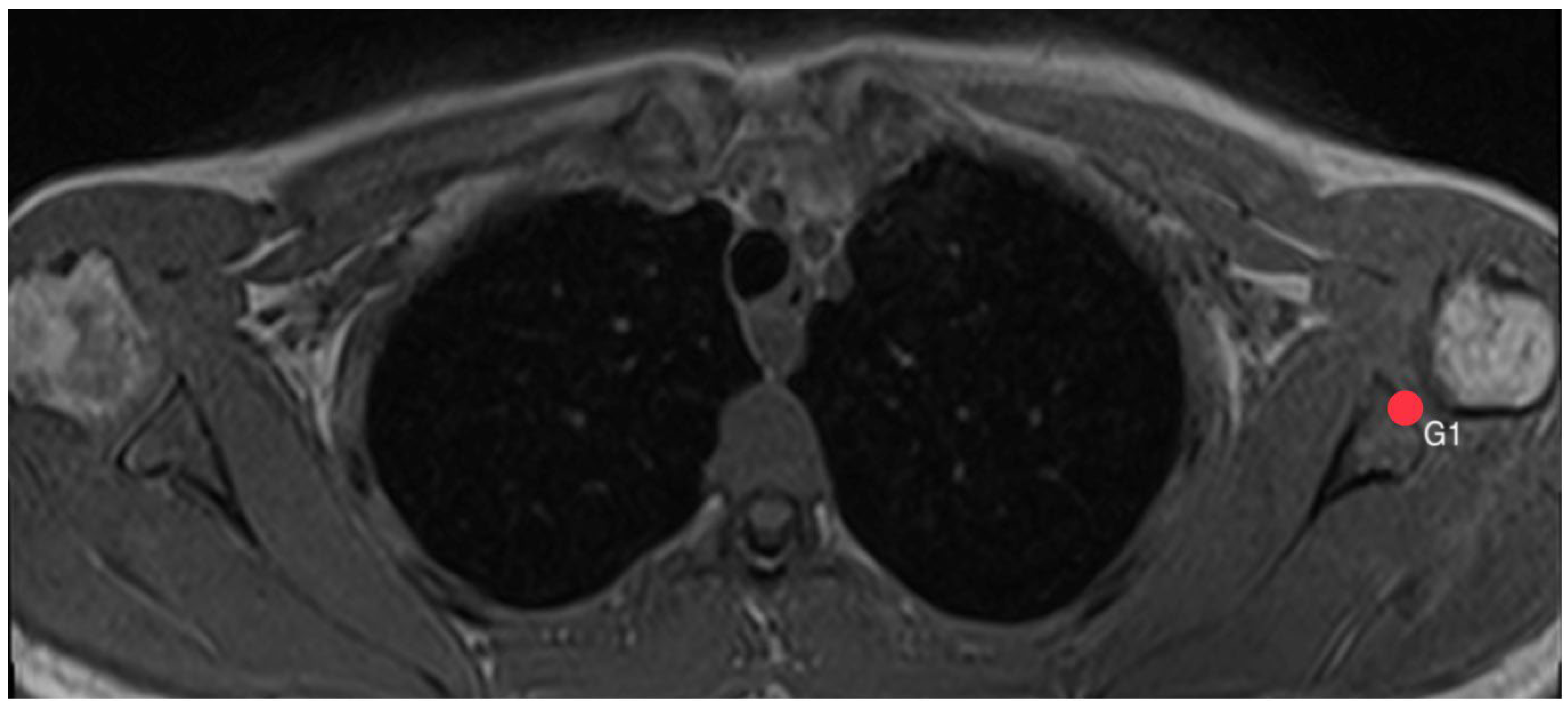 Diagnostics 14 00107 g002