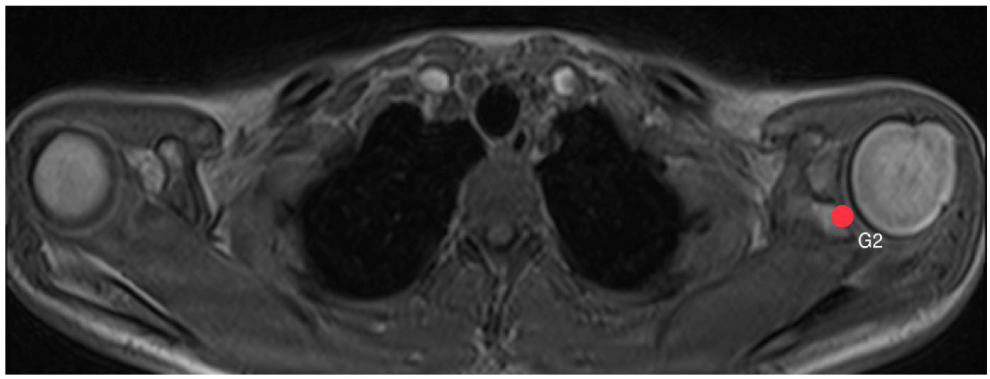 Diagnostics 14 00107 g003