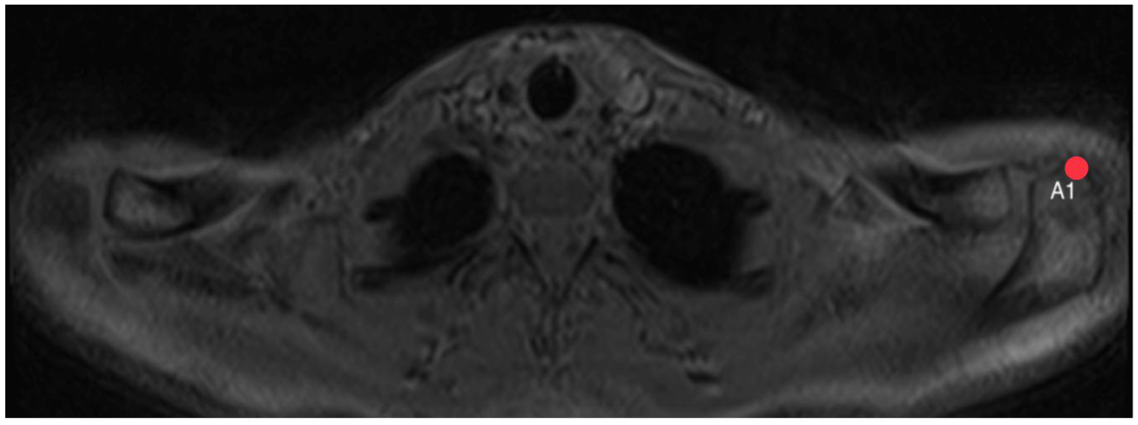 Diagnostics 14 00107 g007