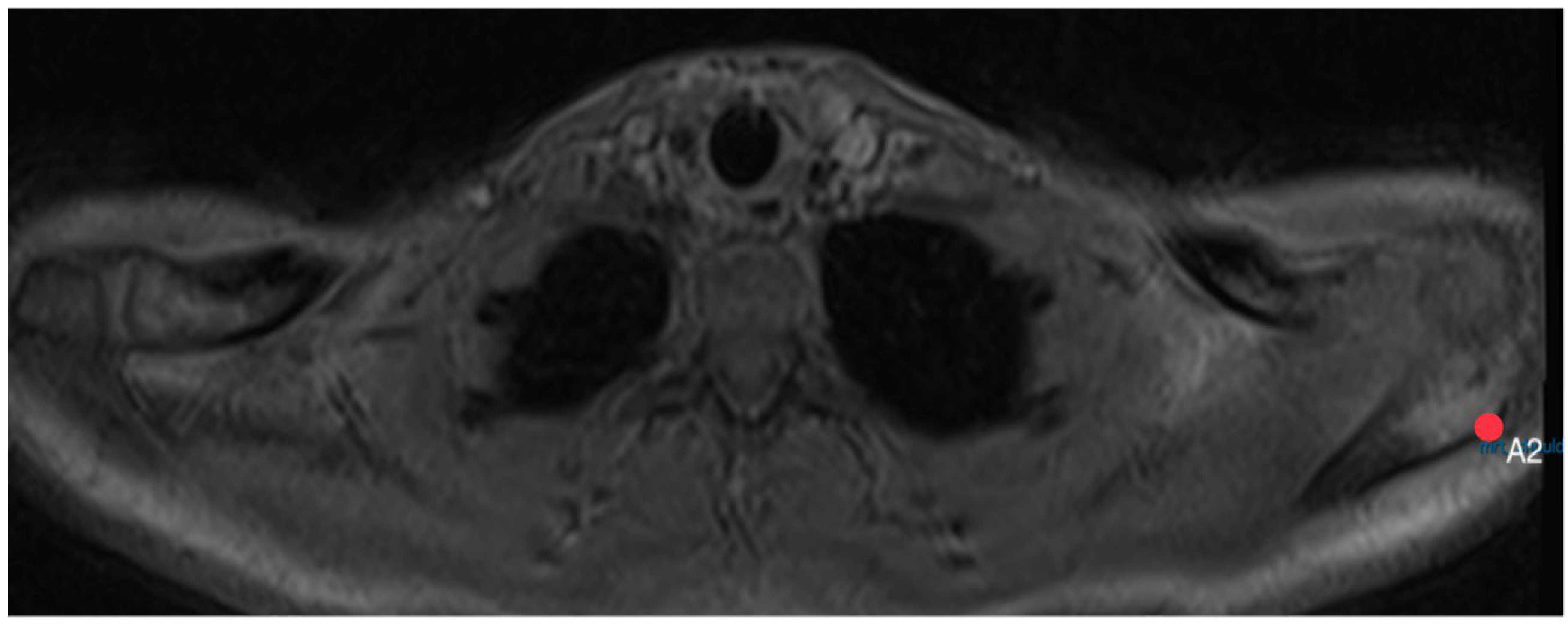 Diagnostics 14 00107 g008