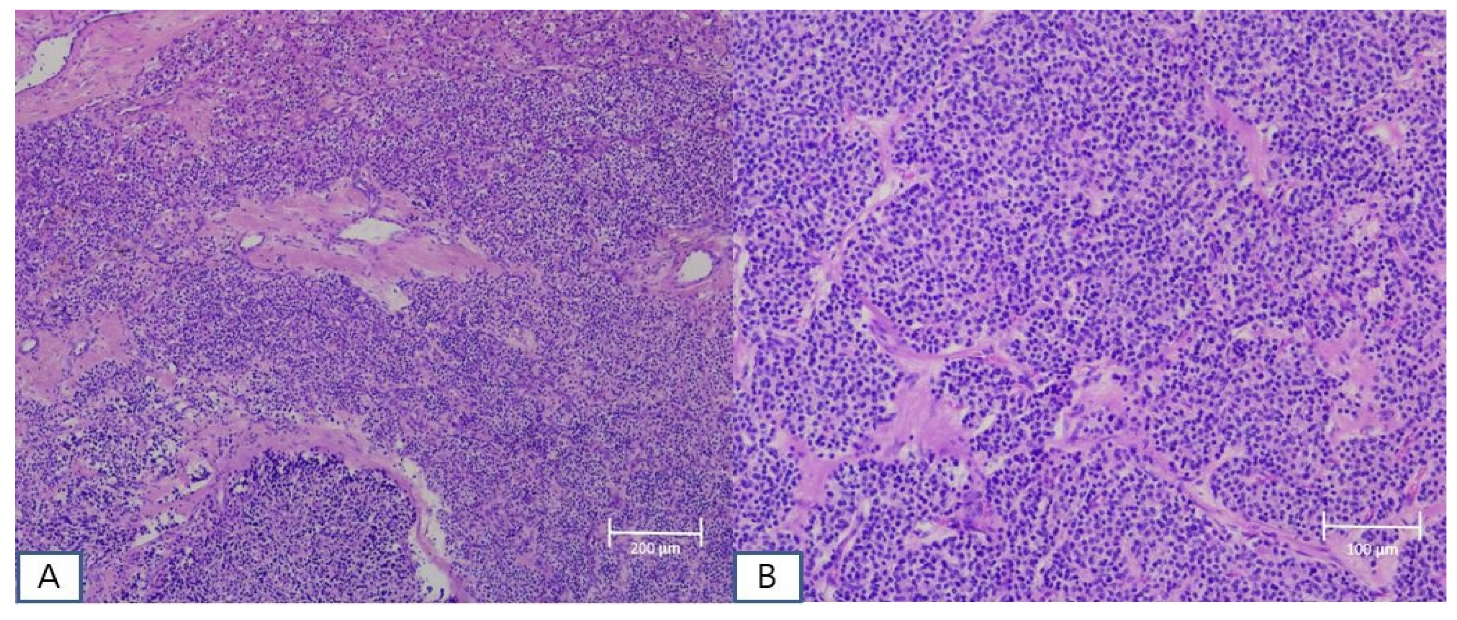 Diagnostics 14 00110 g003