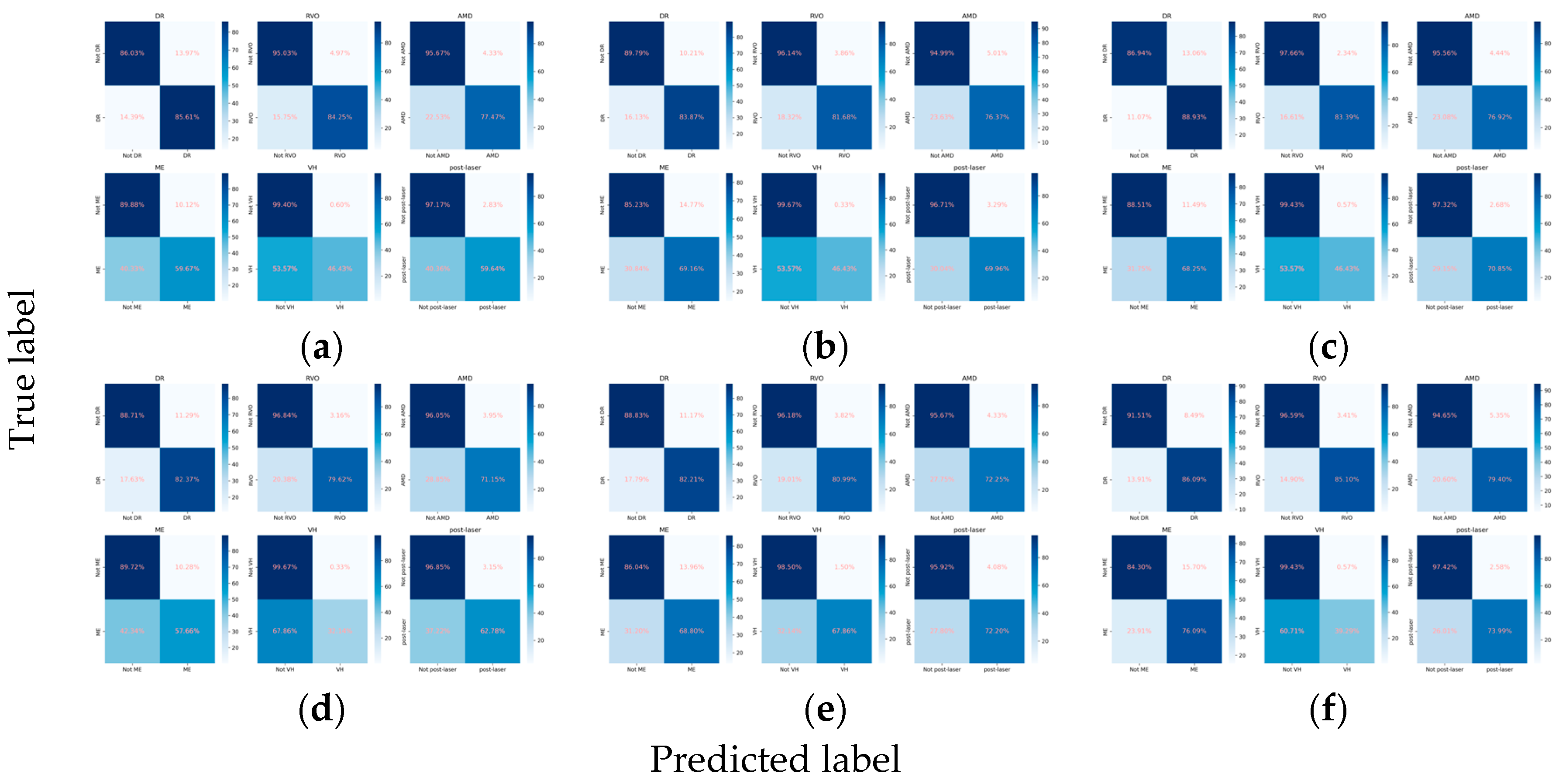 Diagnostics 14 00121 g003