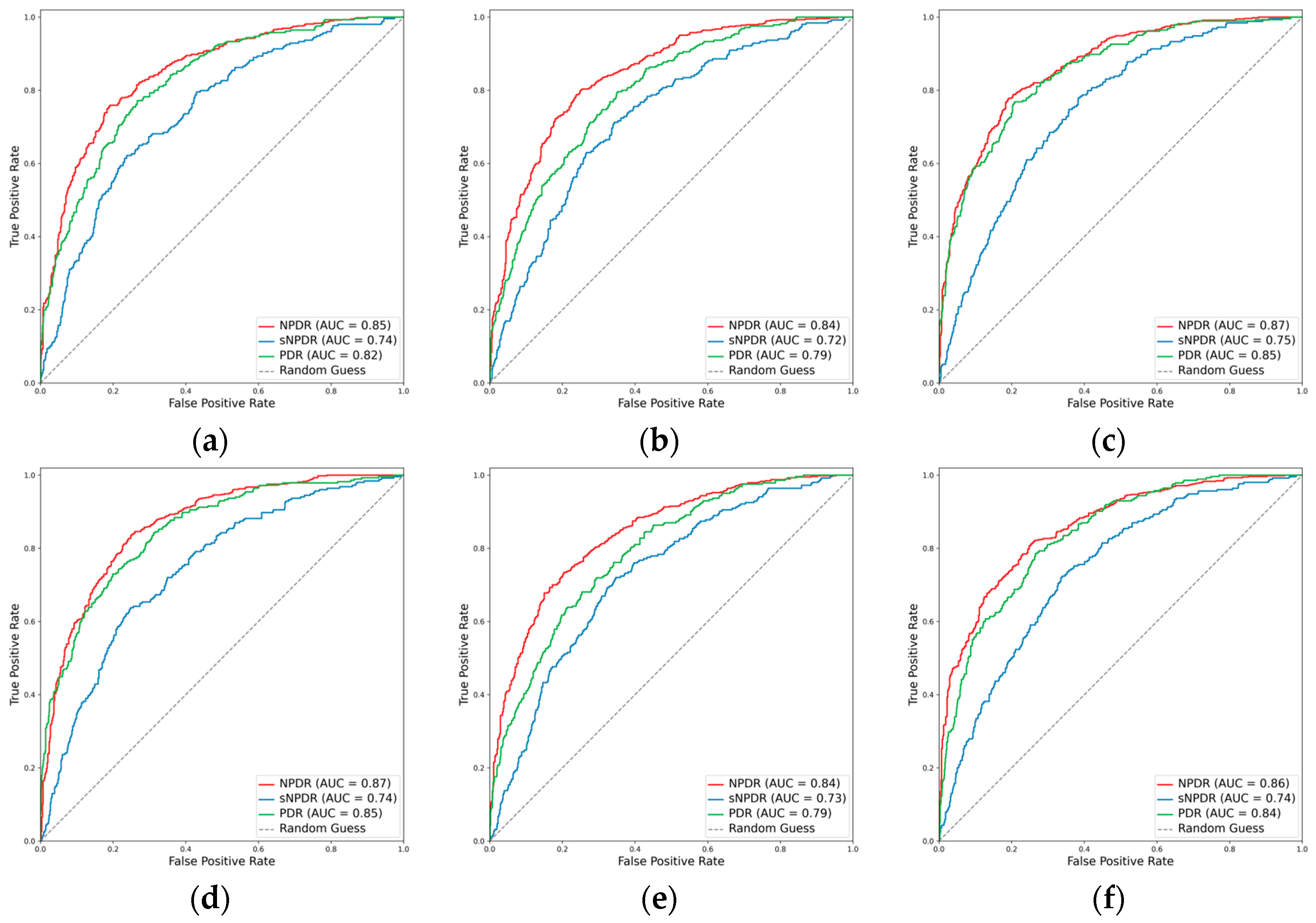 Diagnostics 14 00121 g004