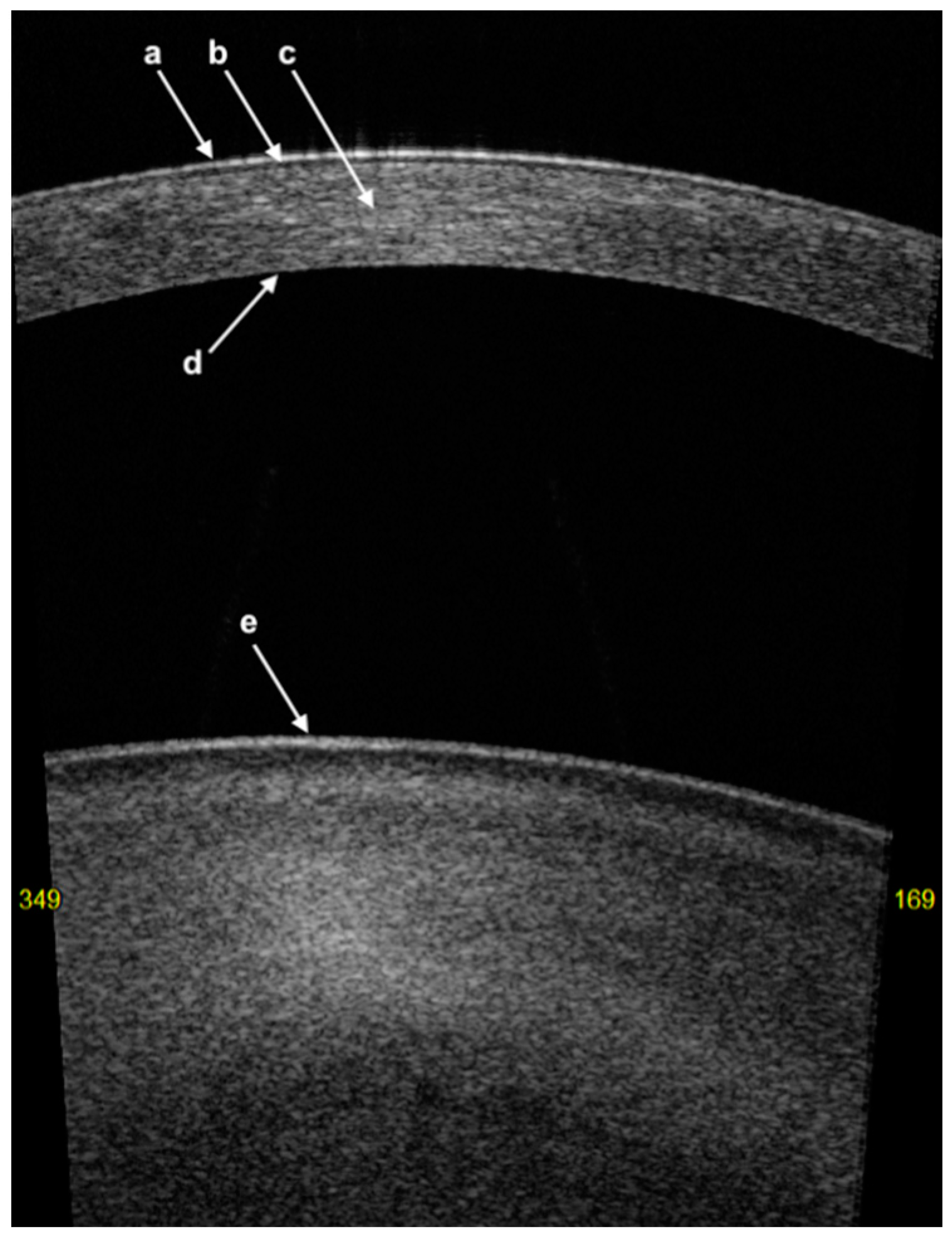 Diagnostics 14 00122 g001 Diagnostics 14 00122 g001