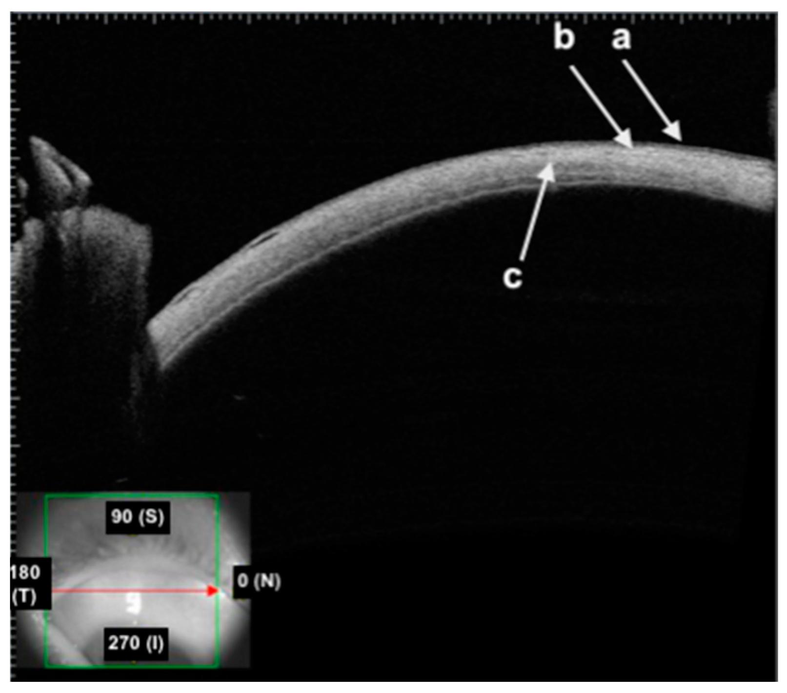 Diagnostics 14 00122 g002 Diagnostics 14 00122 g002