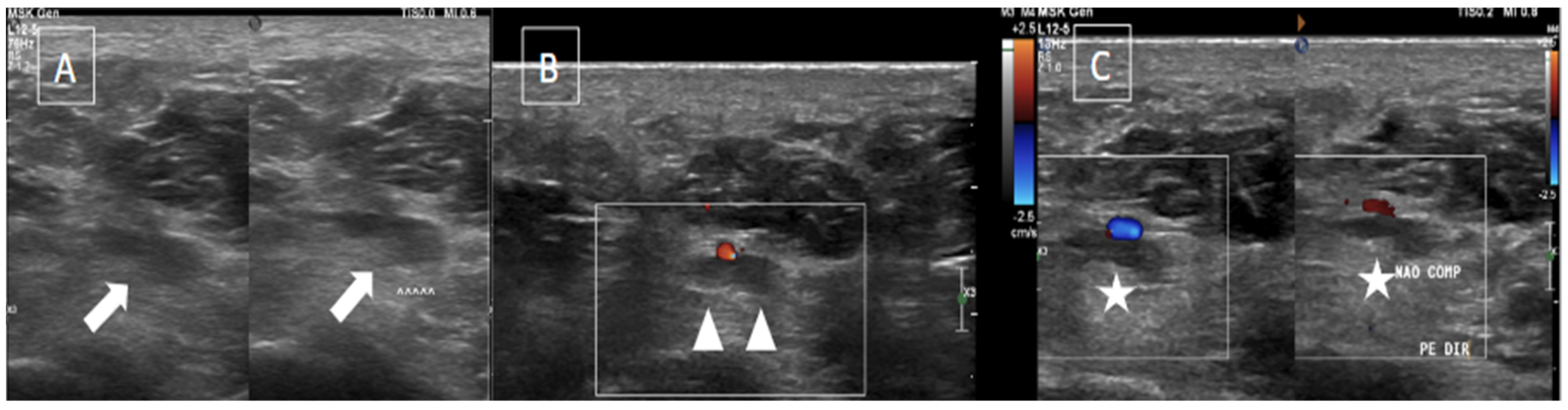 Diagnostics 14 00126 g003