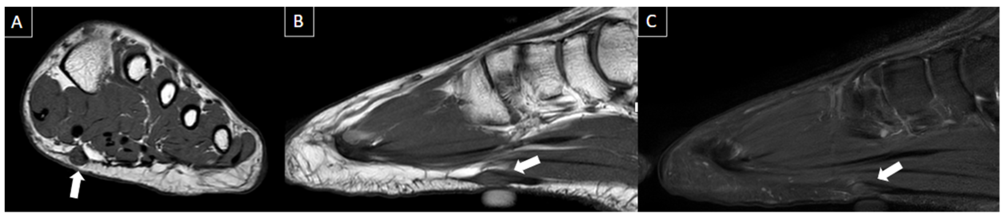 Diagnostics 14 00126 g009