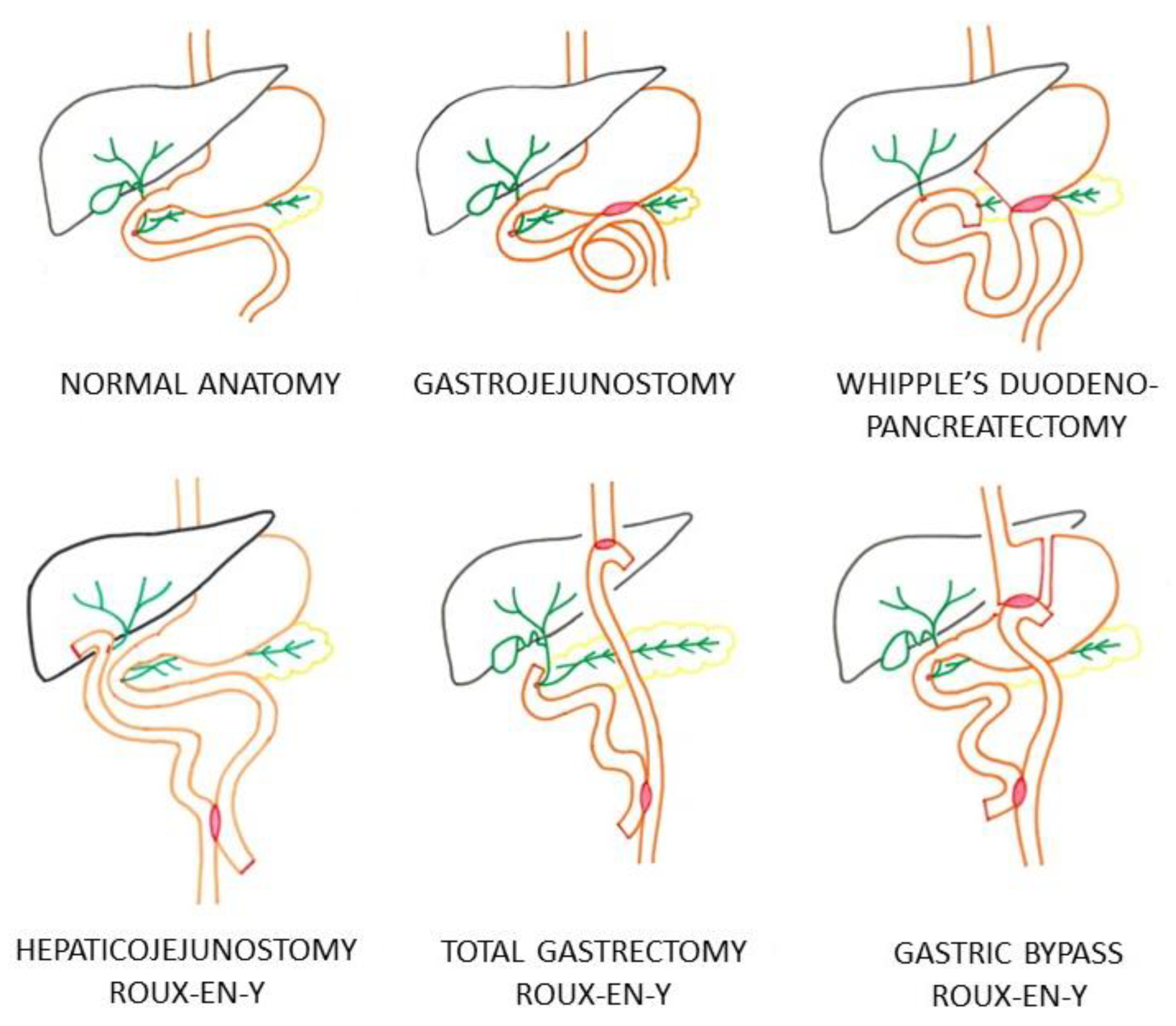 Diagnostics 14 00142 g001