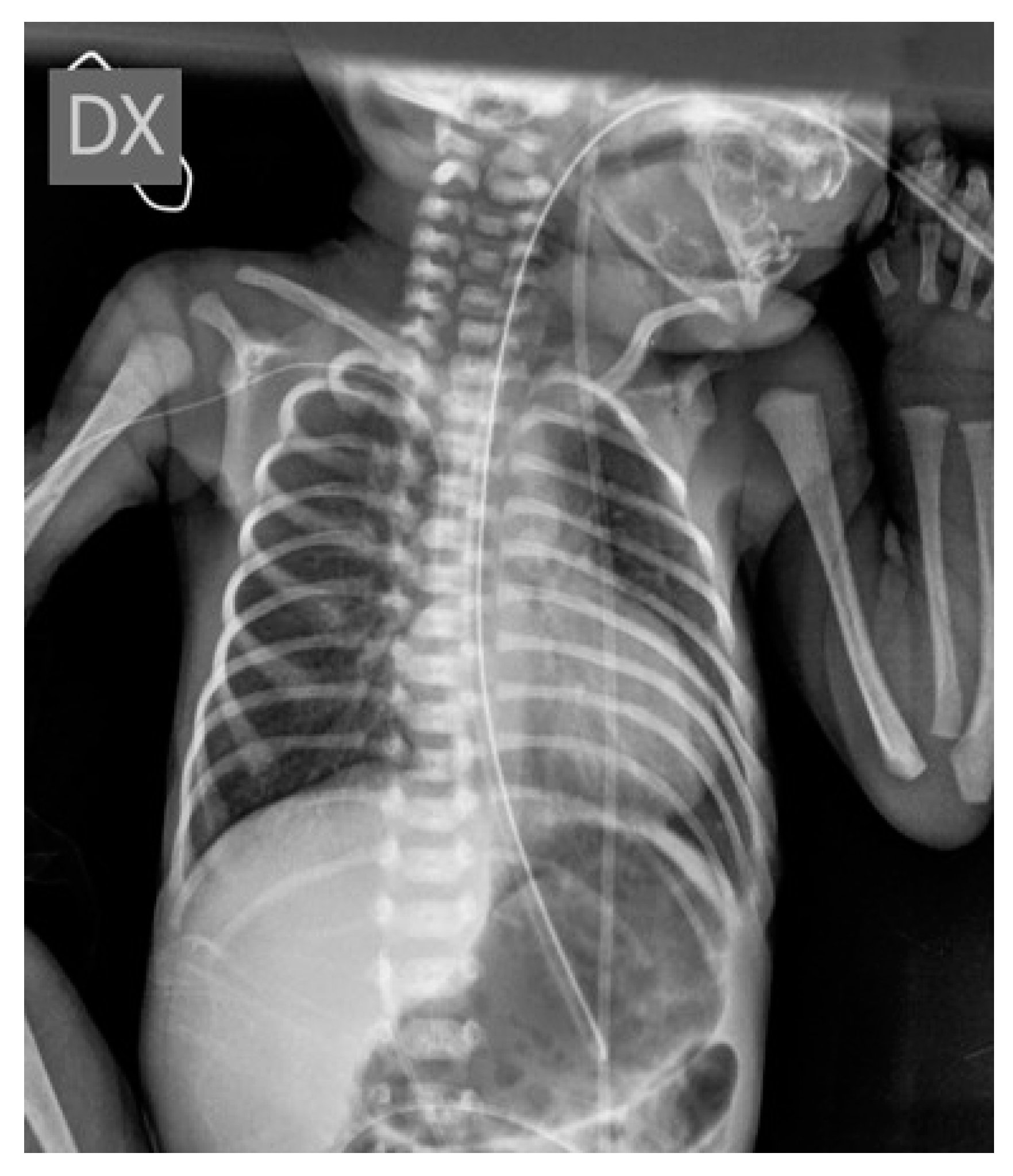 Diagnostics 14 00157 g001