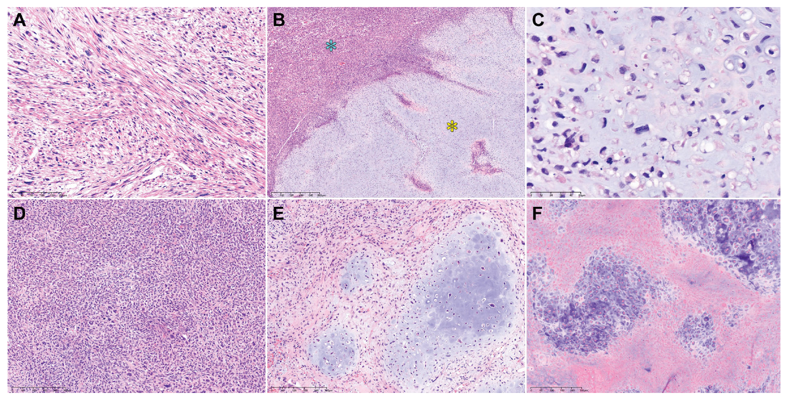 Diagnostics 14 00160 g003