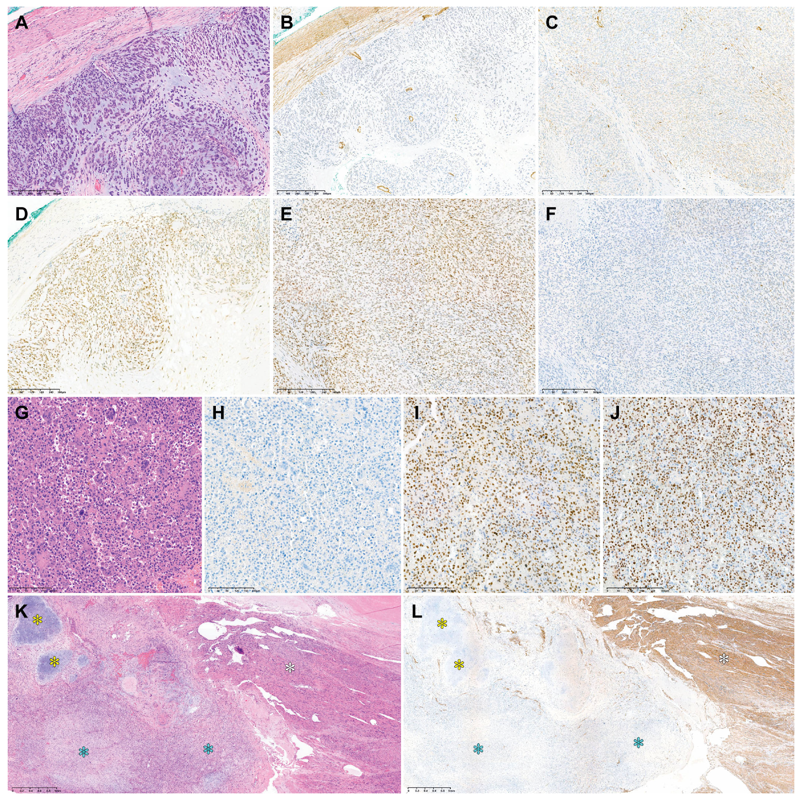Diagnostics 14 00160 g004