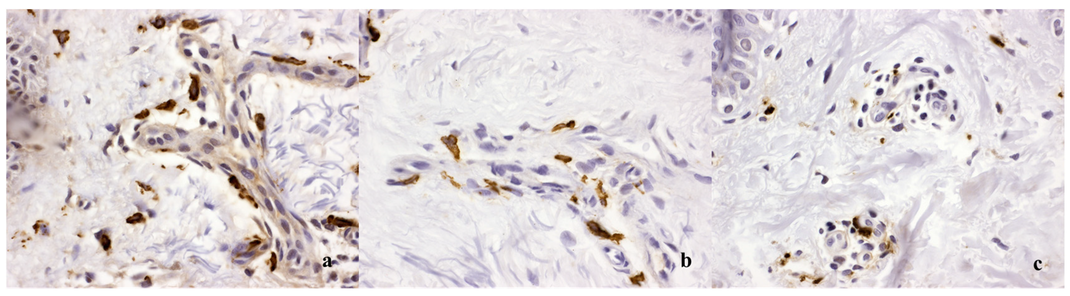 Diagnostics 14 00161 g003