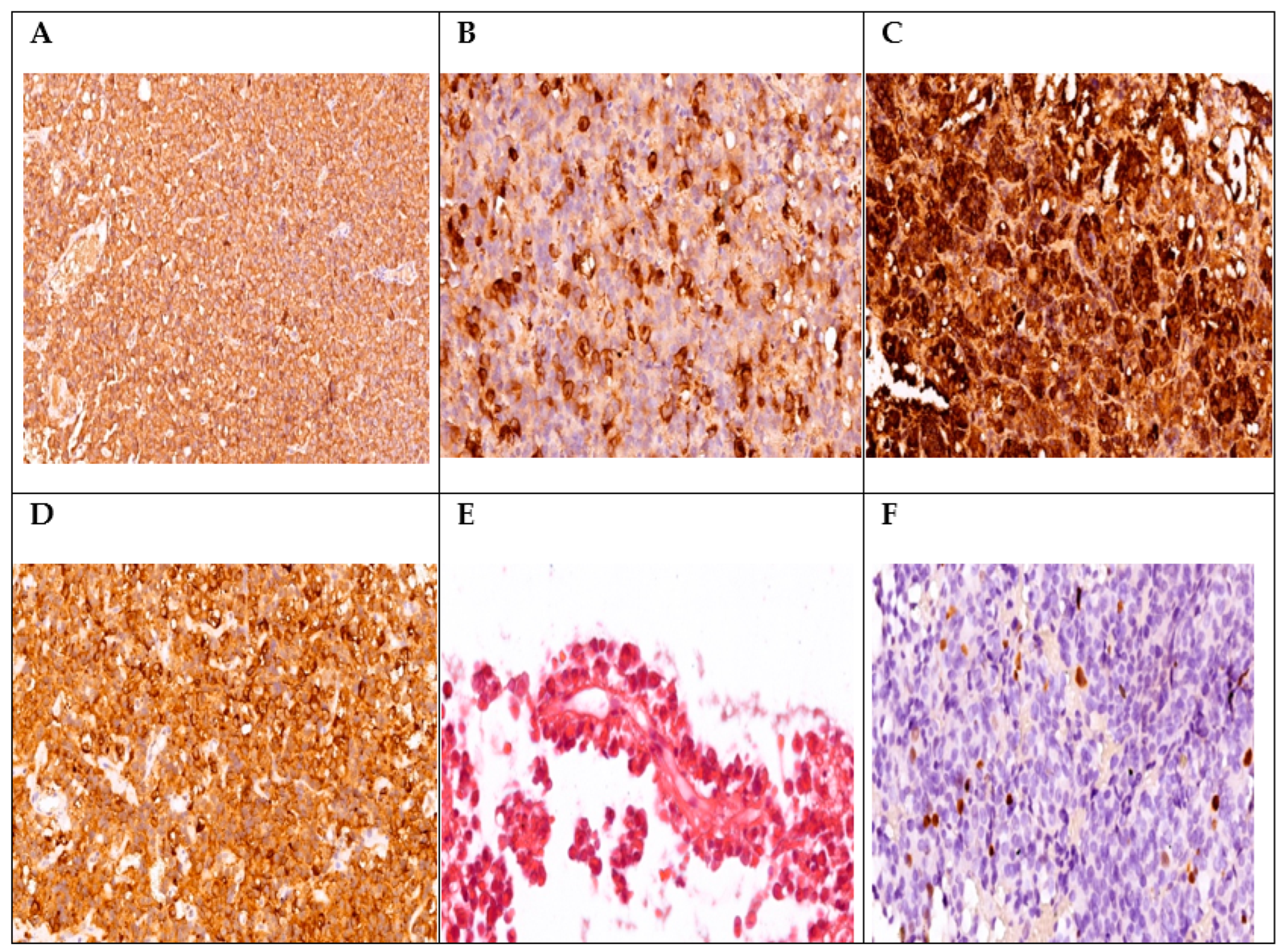 Diagnostics 14 00170 g003