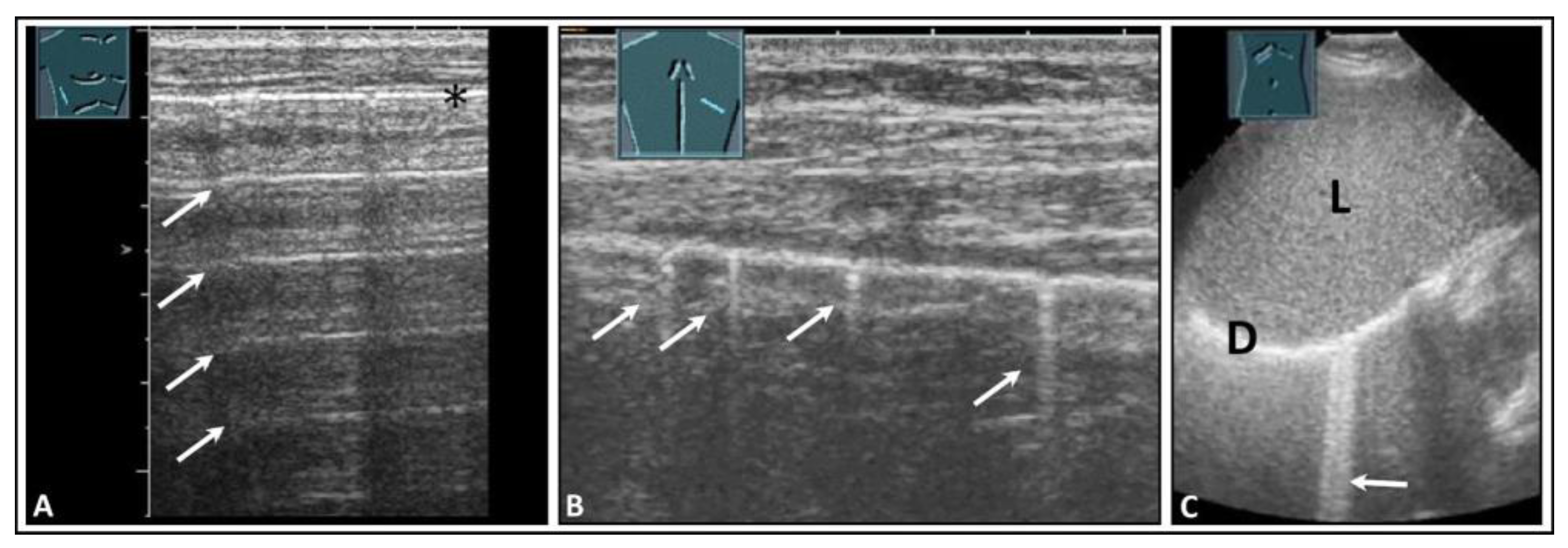 Diagnostics 14 00179 g001