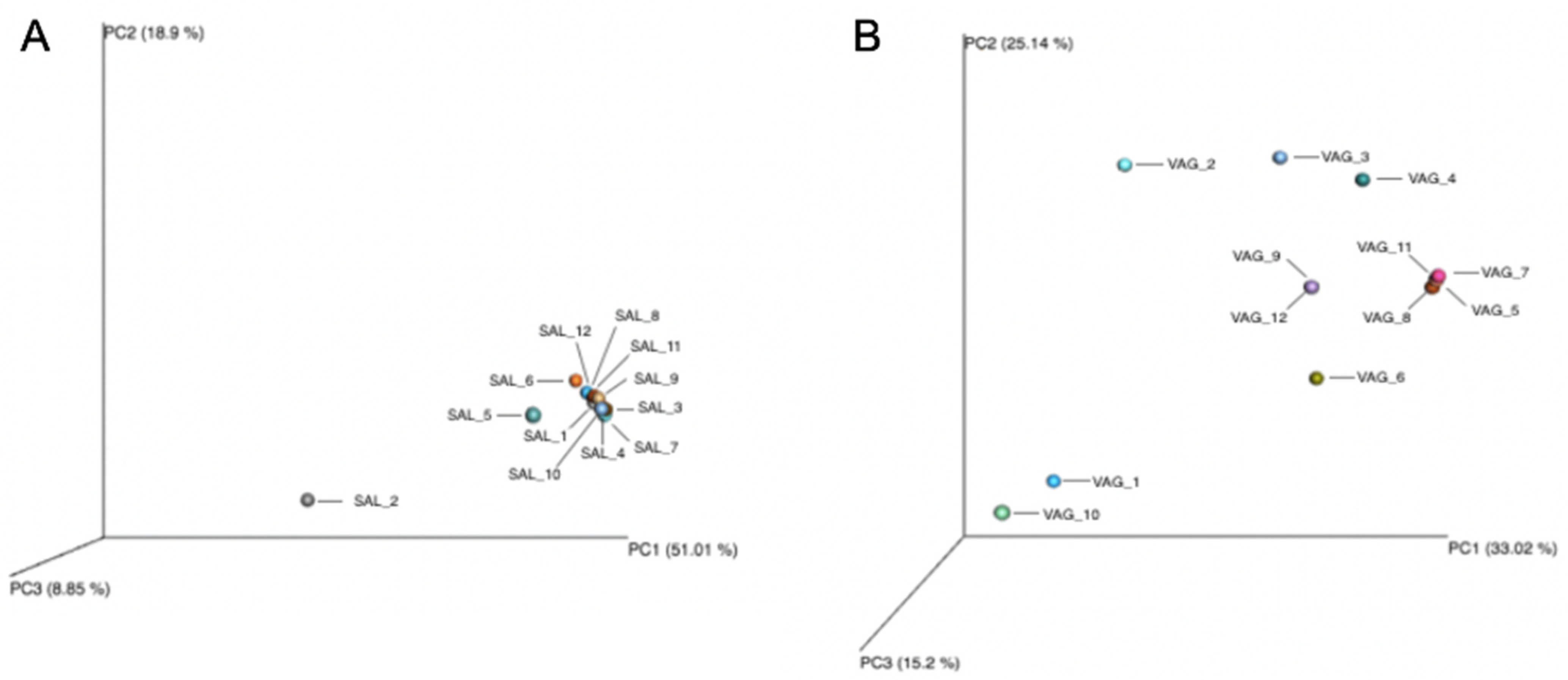 Diagnostics 14 00187 g002