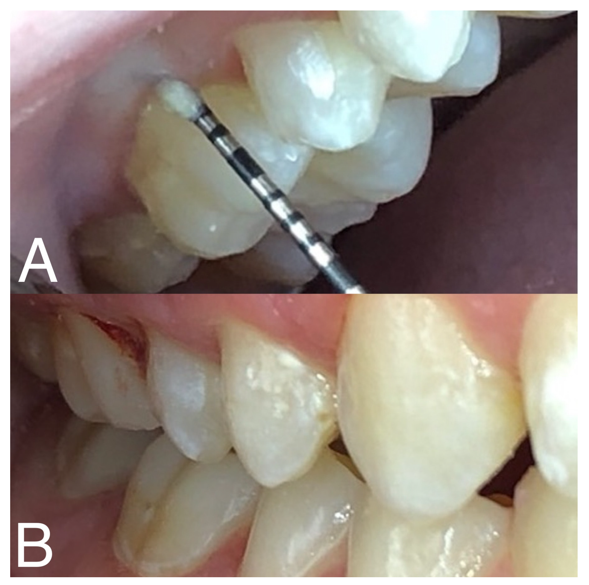 Diagnostics 14 00192 g001