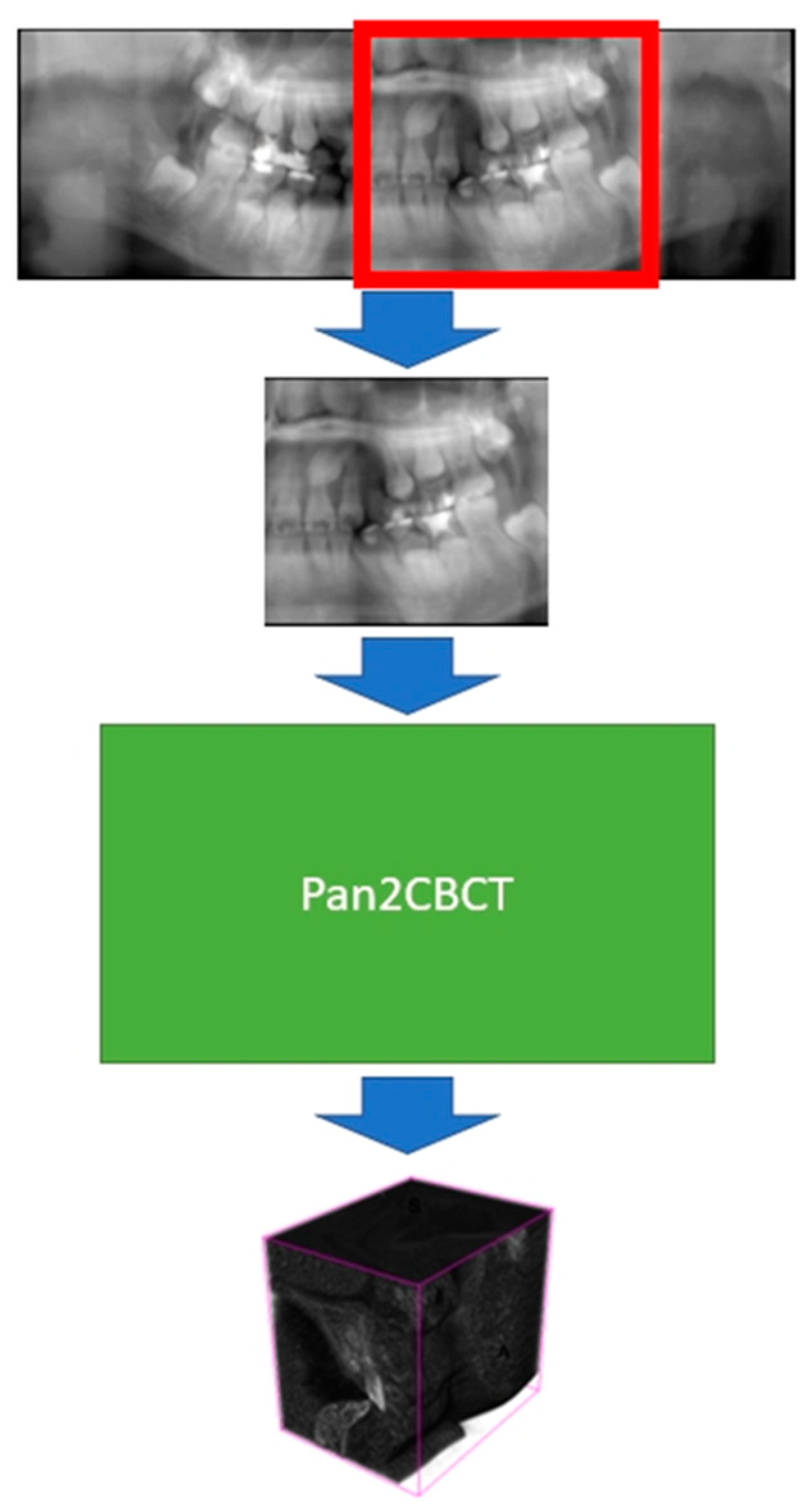 Diagnostics 14 00196 g003