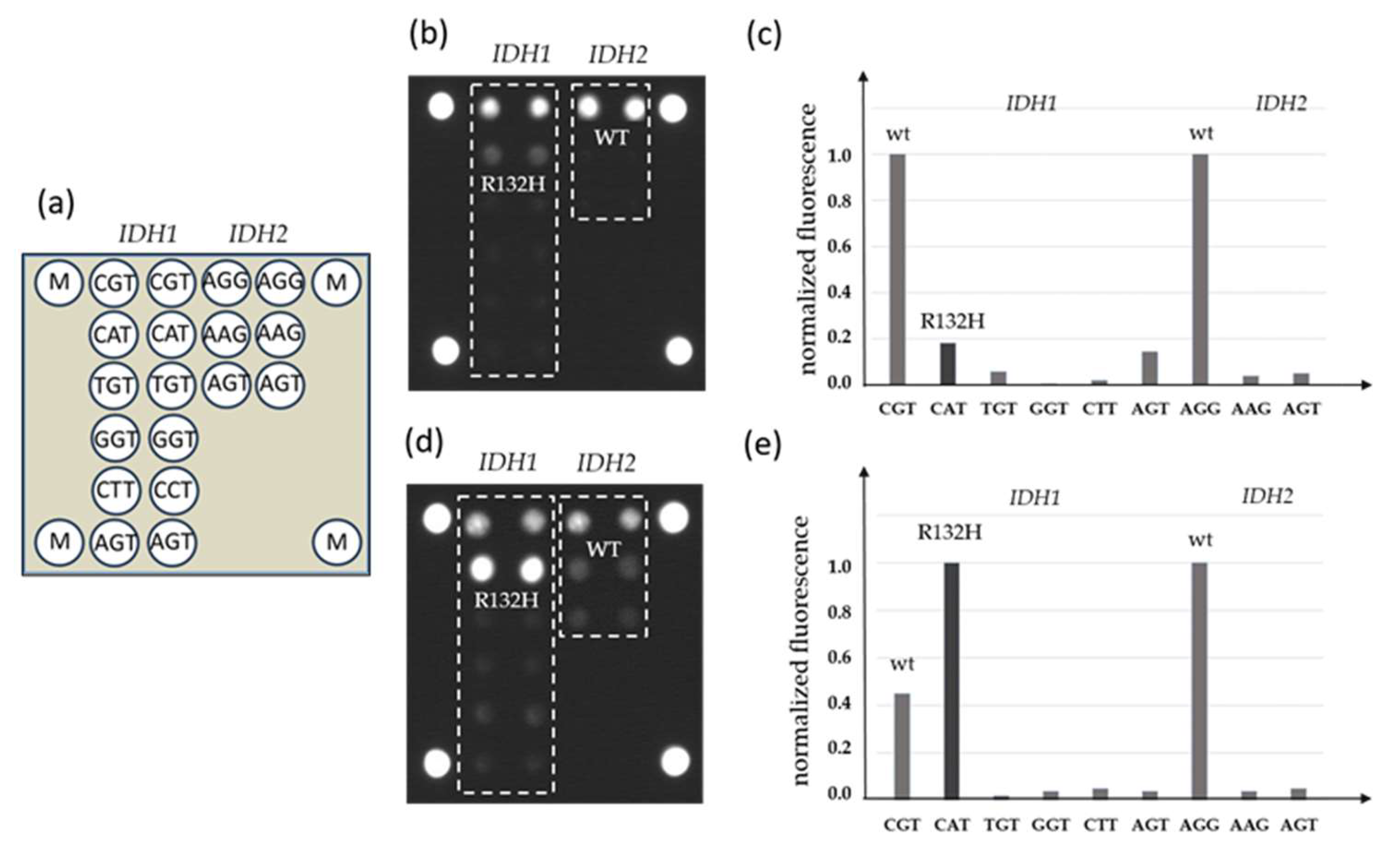 Diagnostics 14 00200 g002