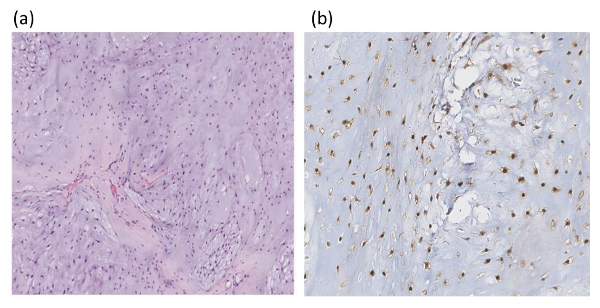 Diagnostics 14 00200 g003