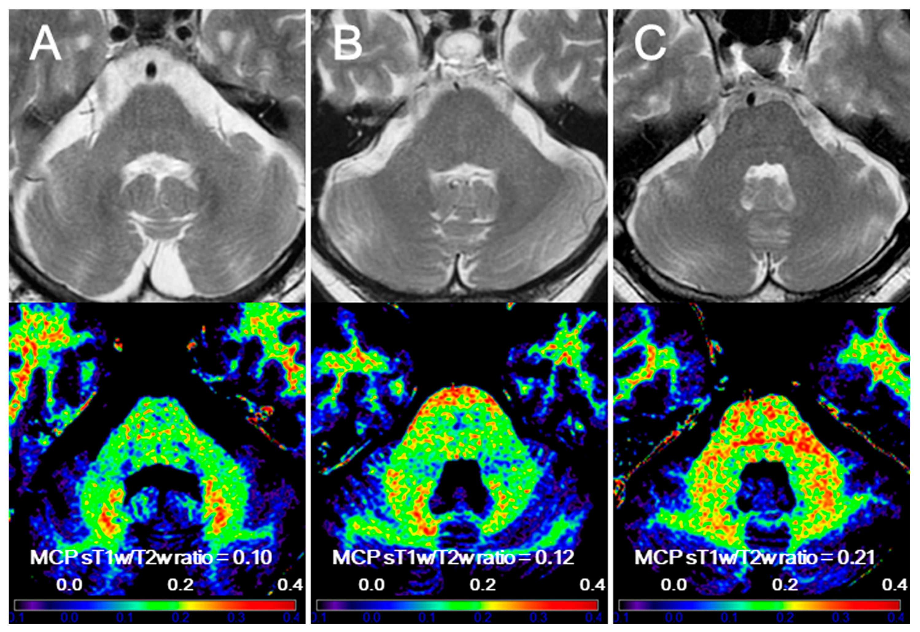 Diagnostics 14 00201 g001