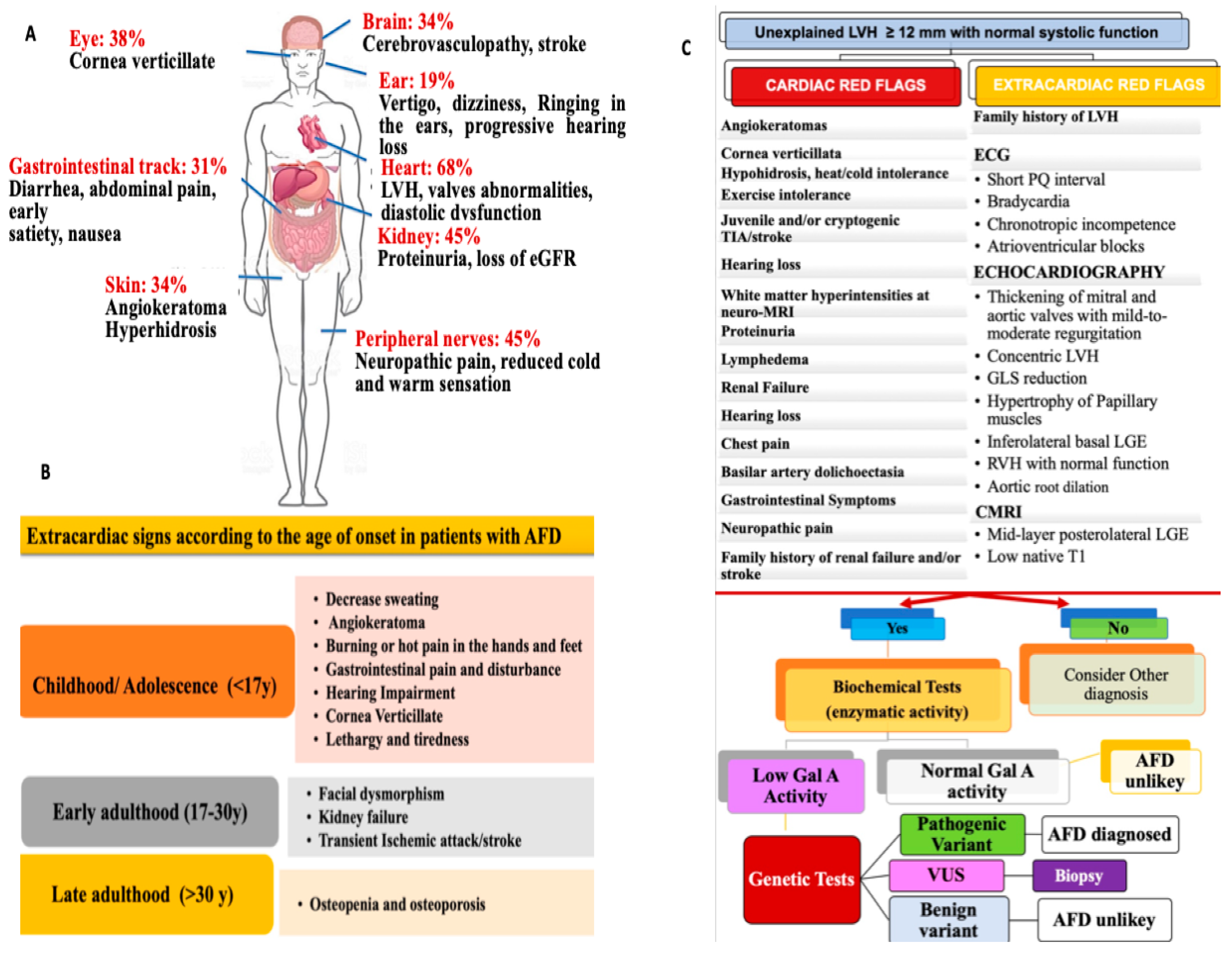 Diagnostics 14 00208 g001