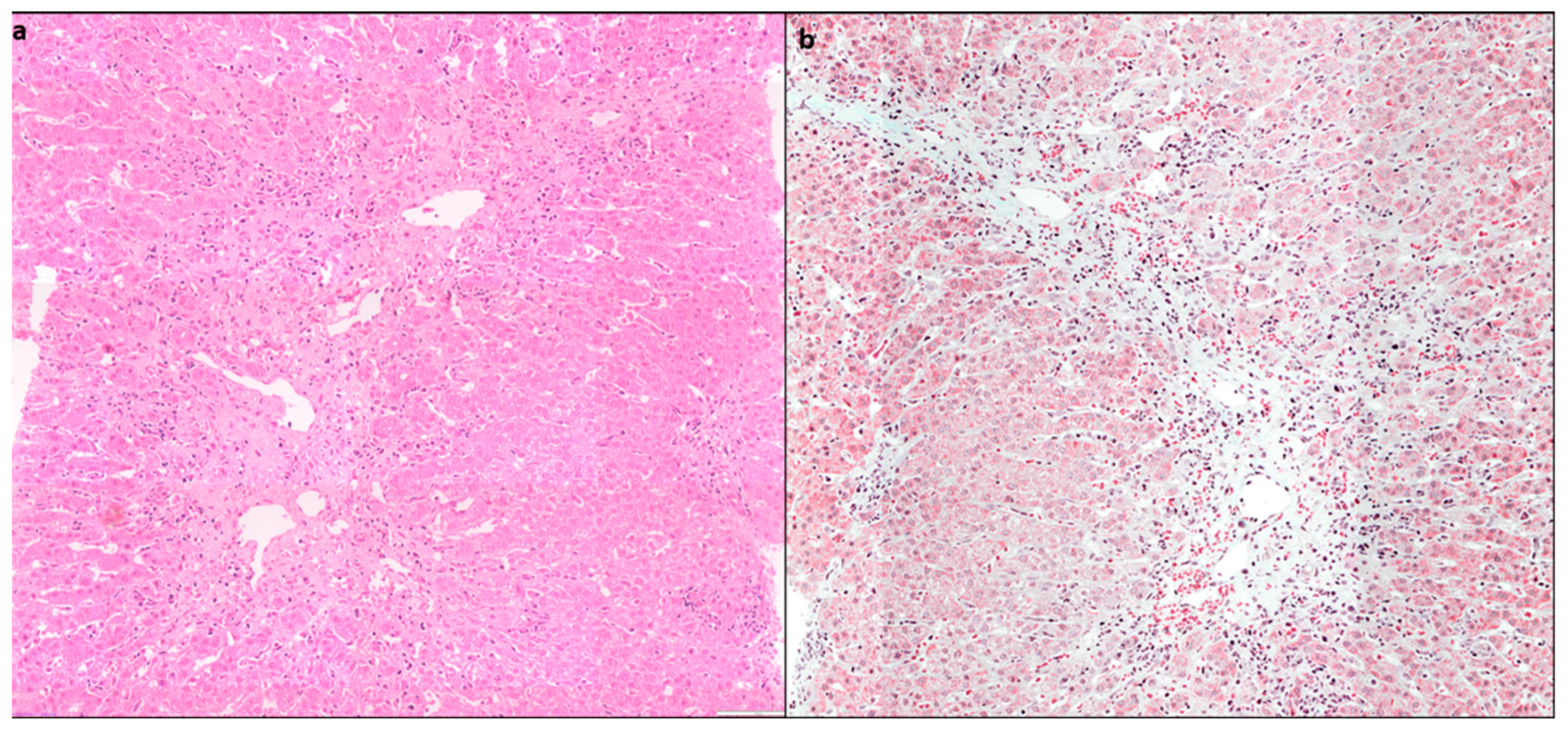 Diagnostics 14 00210 g003