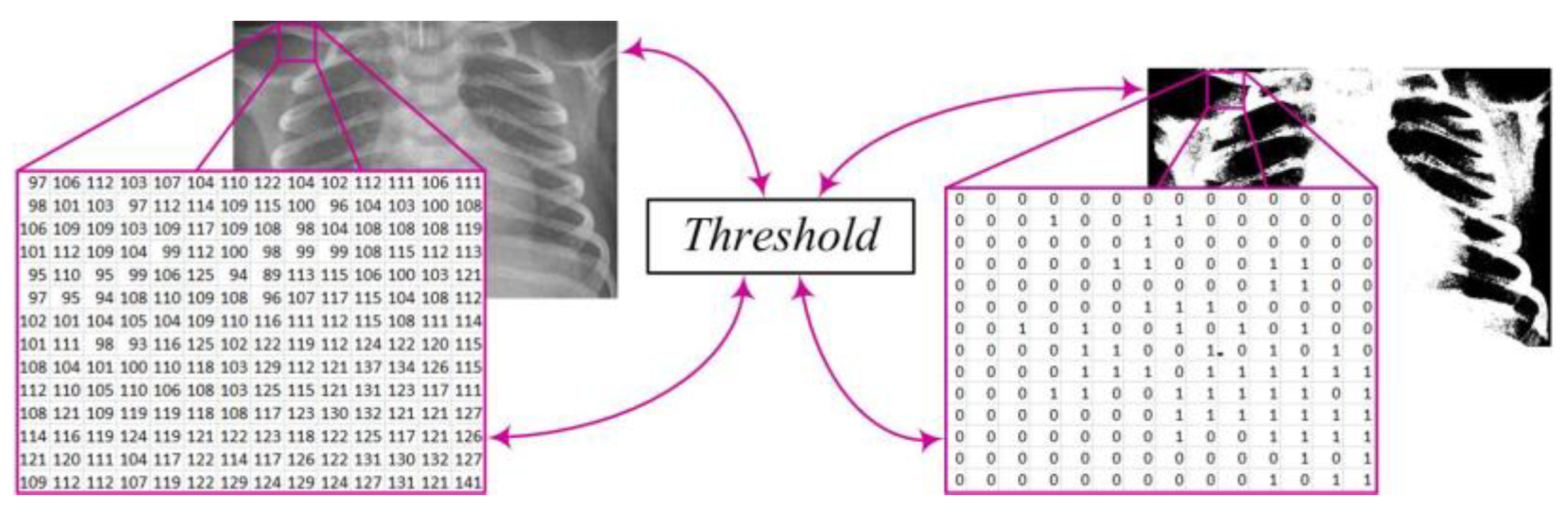 Diagnostics 14 00214 g003