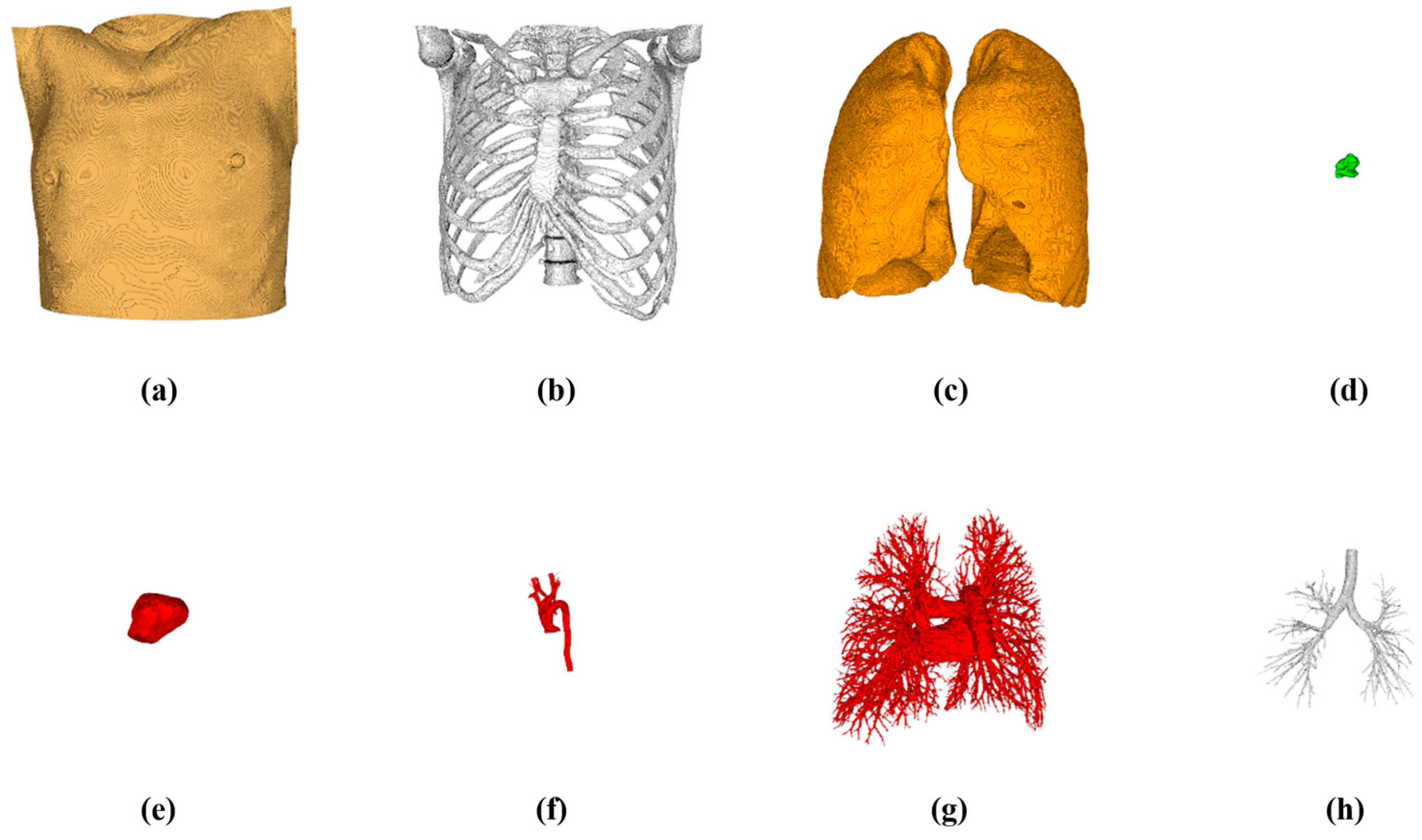 Diagnostics 14 00215 g010