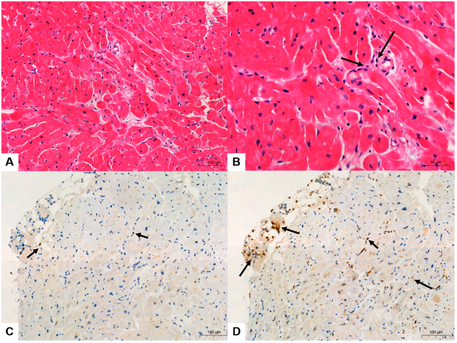 Diagnostics 14 00219 g002