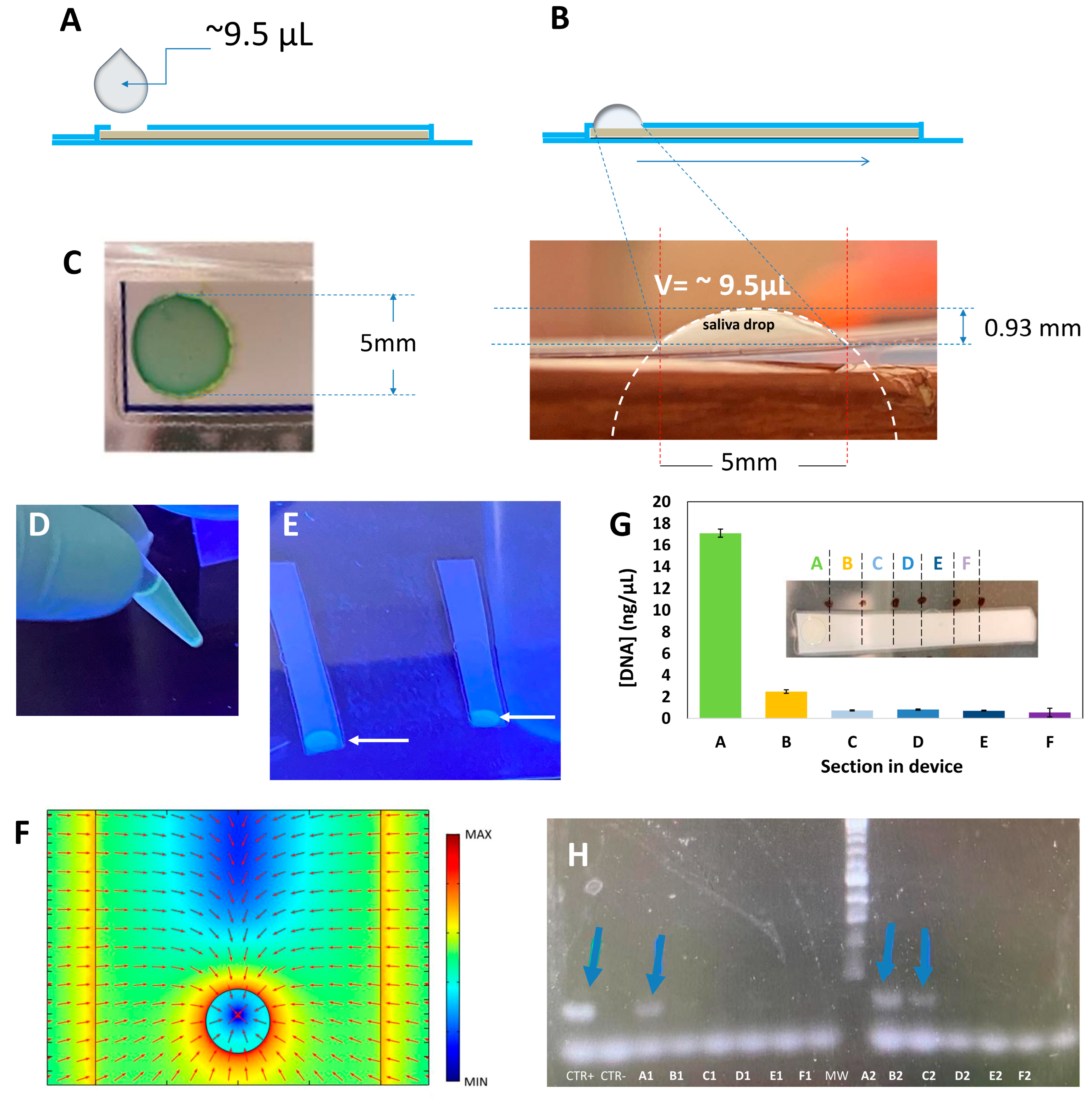 Diagnostics 14 00221 g003