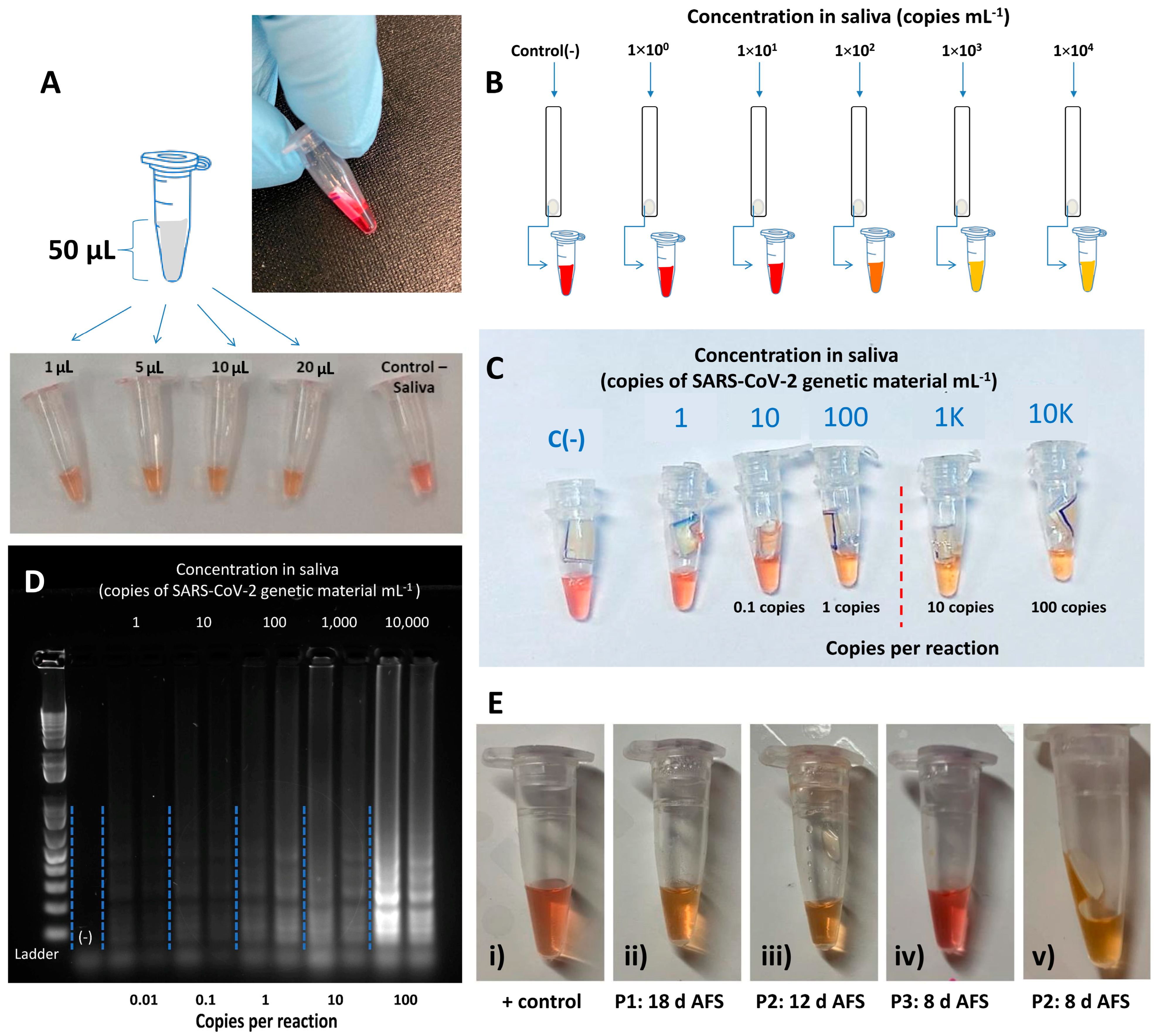 Diagnostics 14 00221 g004