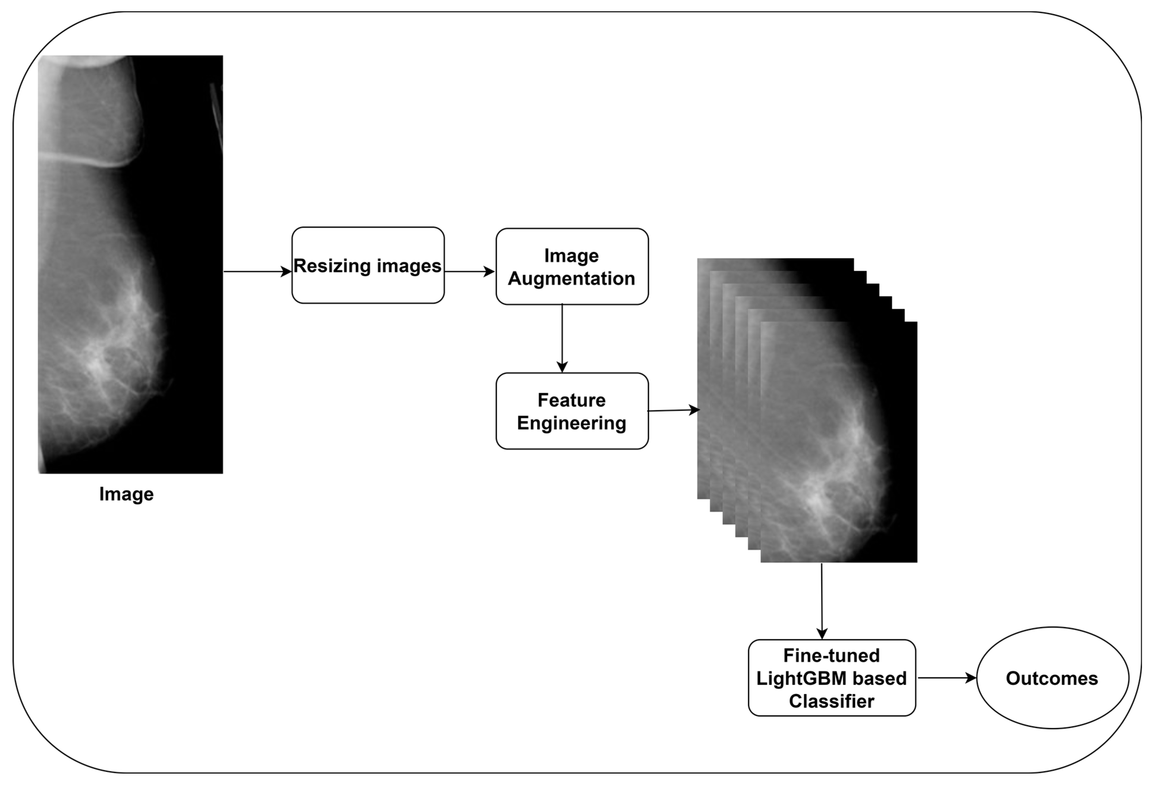 Diagnostics 14 00227 g001