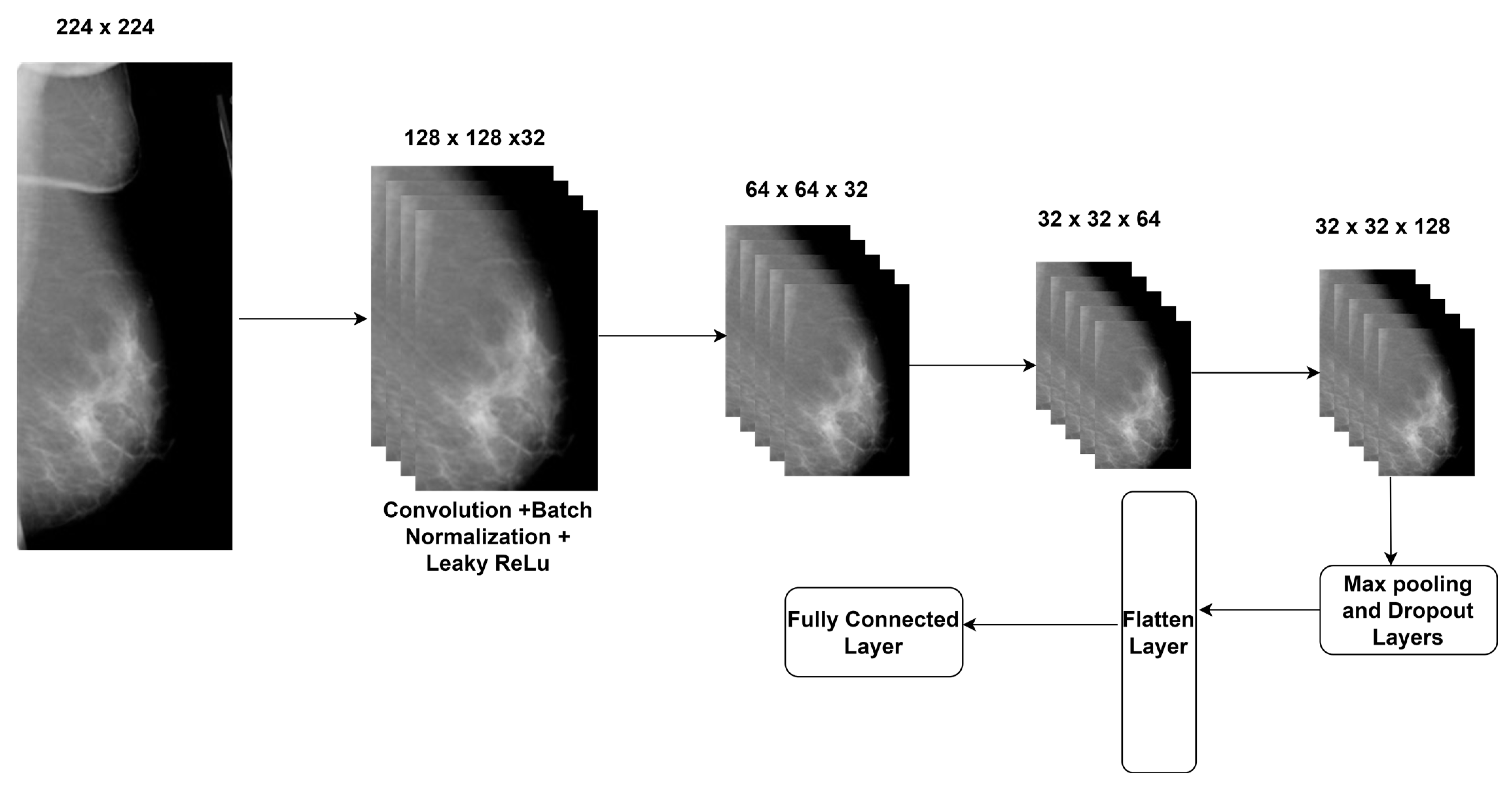 Diagnostics 14 00227 g003