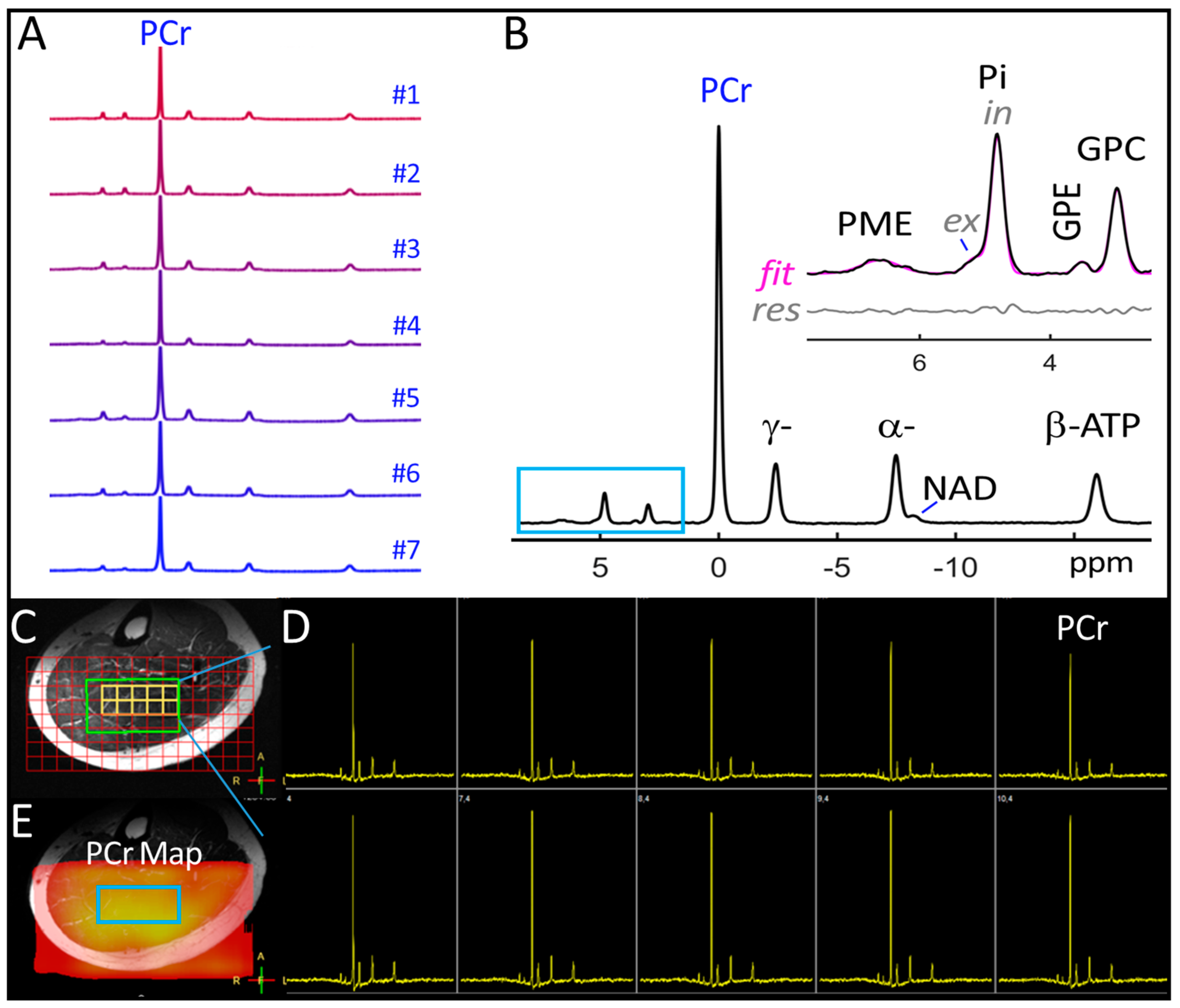 Diagnostics 14 00235 g001 Diagnostics 14 00235 g001