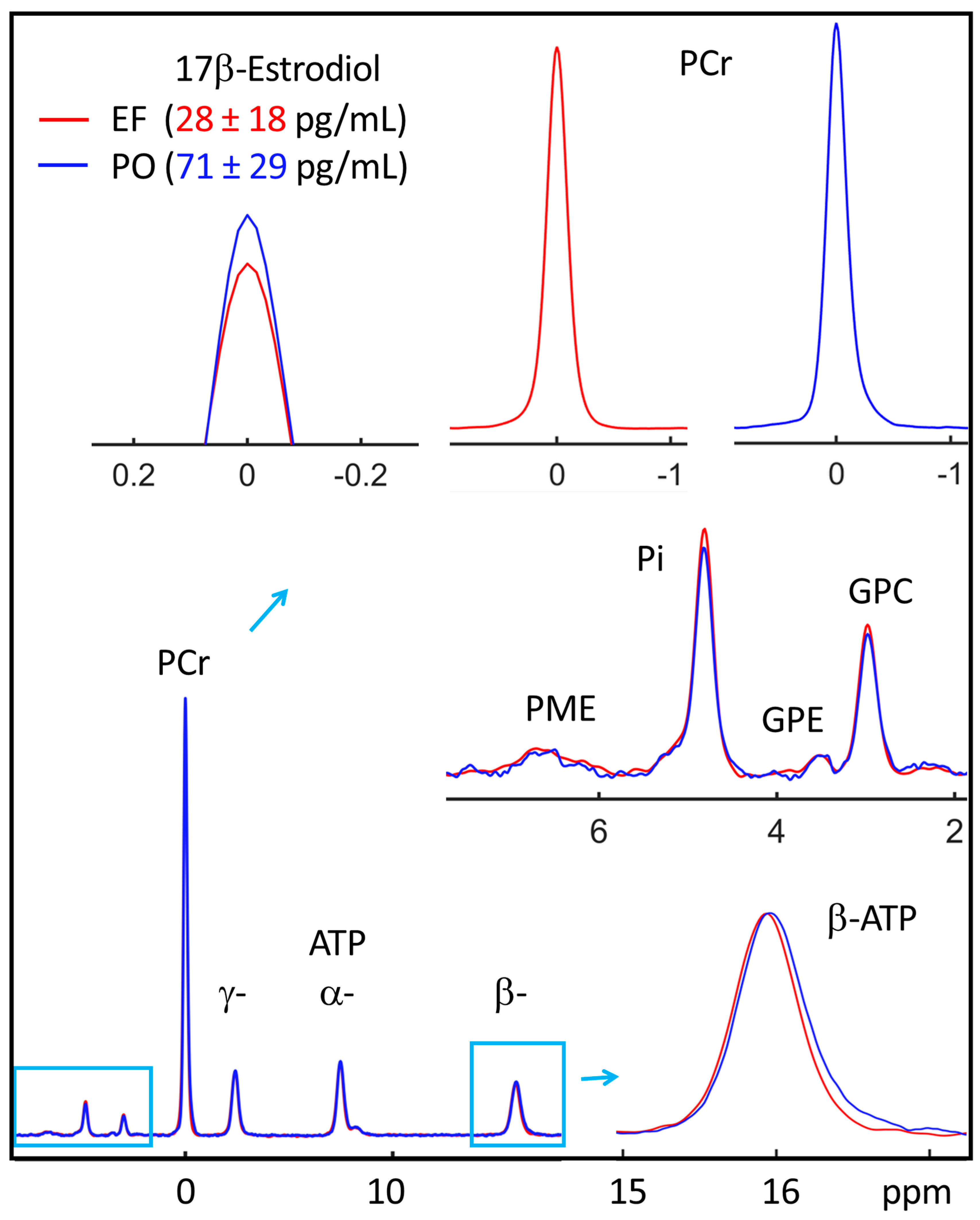 Diagnostics 14 00235 g002 Diagnostics 14 00235 g002